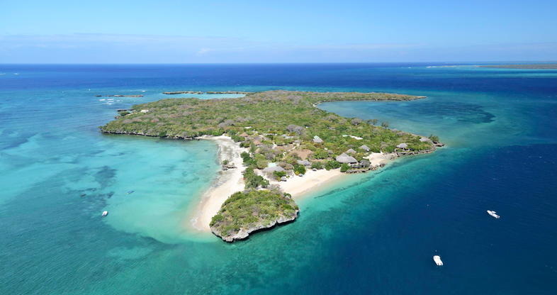 The vast miombo wilderness of the Niassa Special Reserve, Mozambique
