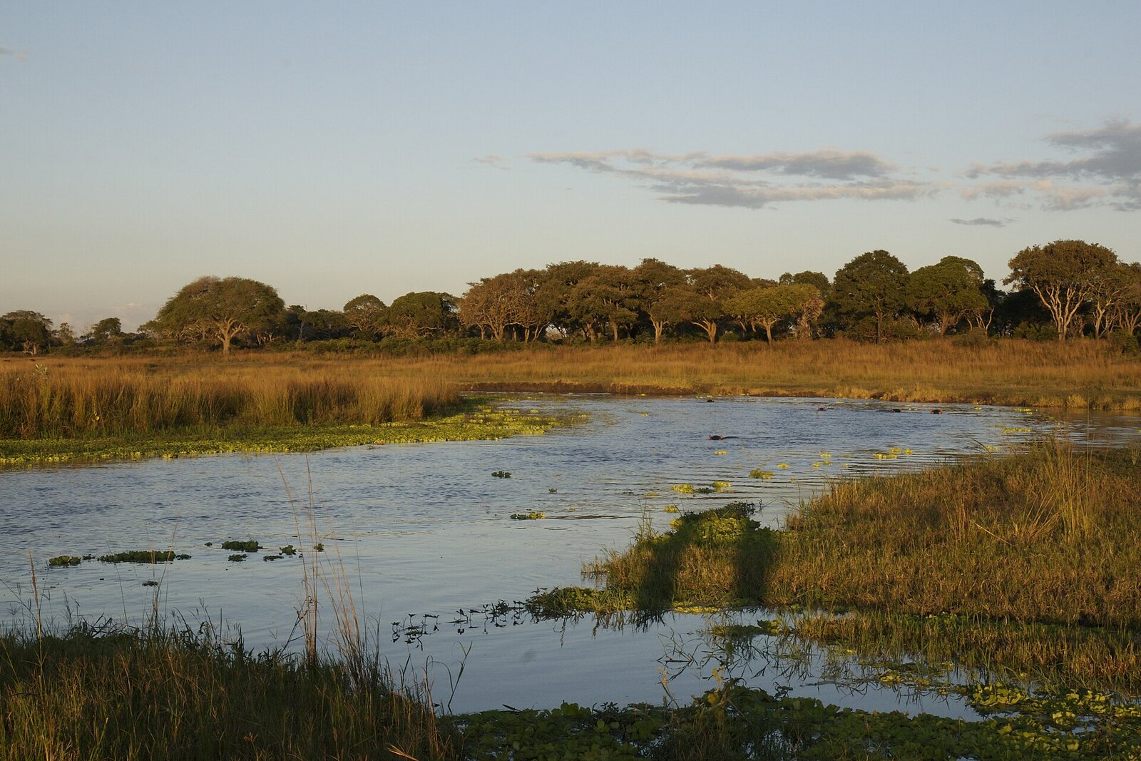 The wild Lugenda River winding through Niassa Special Reserve, Mozambique