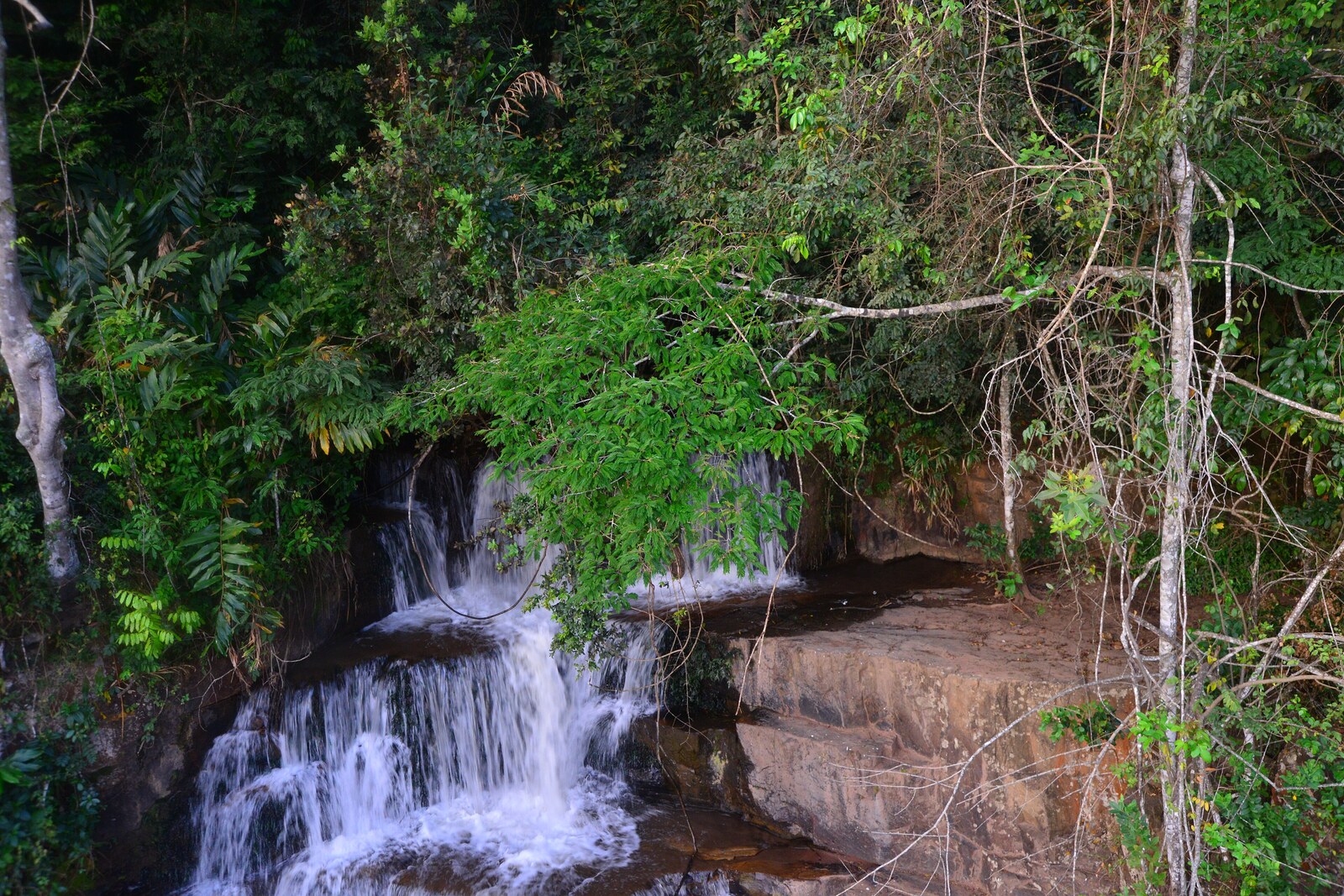Deep forested gorge below the Nyakazu Fault rim