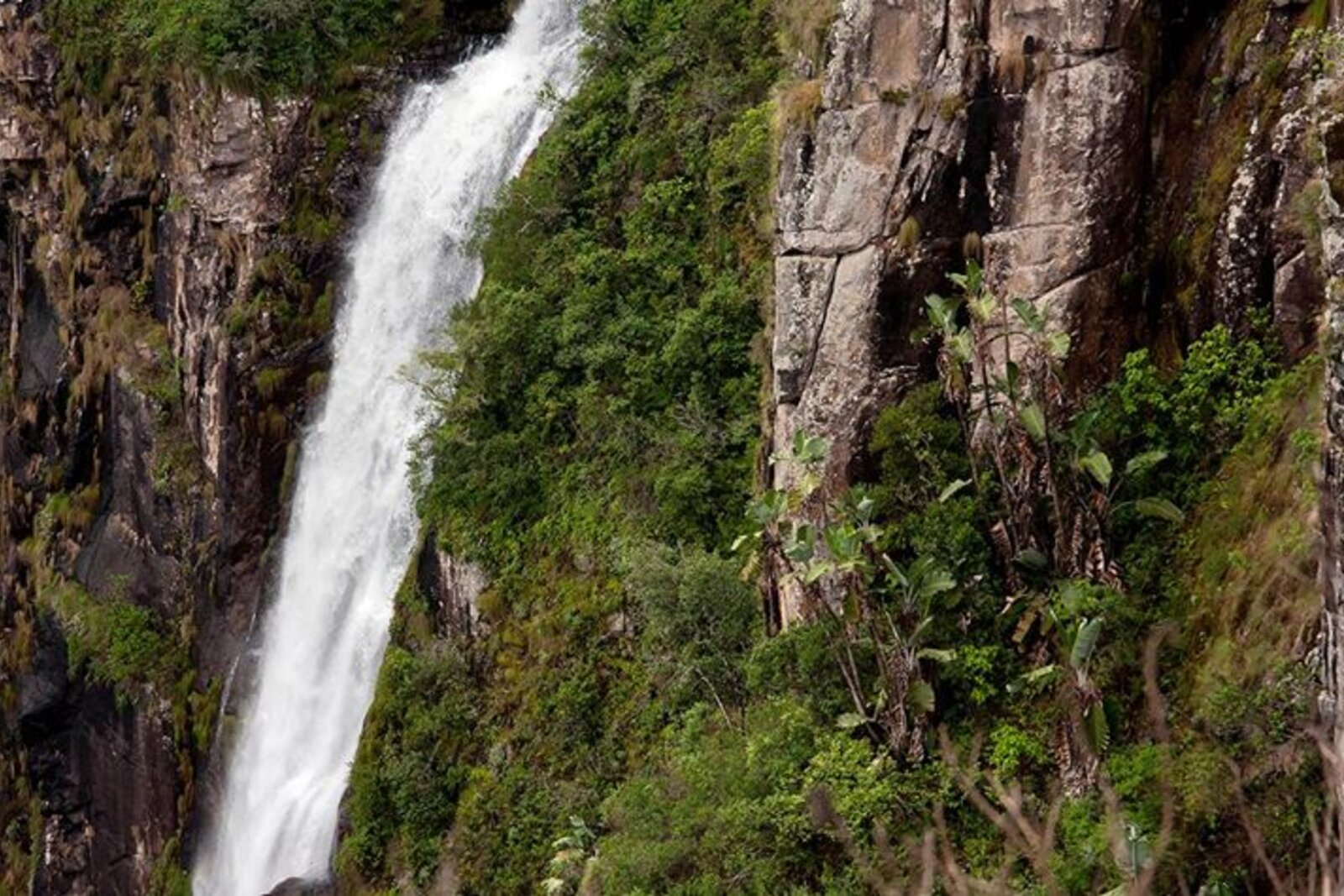 Mutarazi Falls plunging in the Eastern Highlands