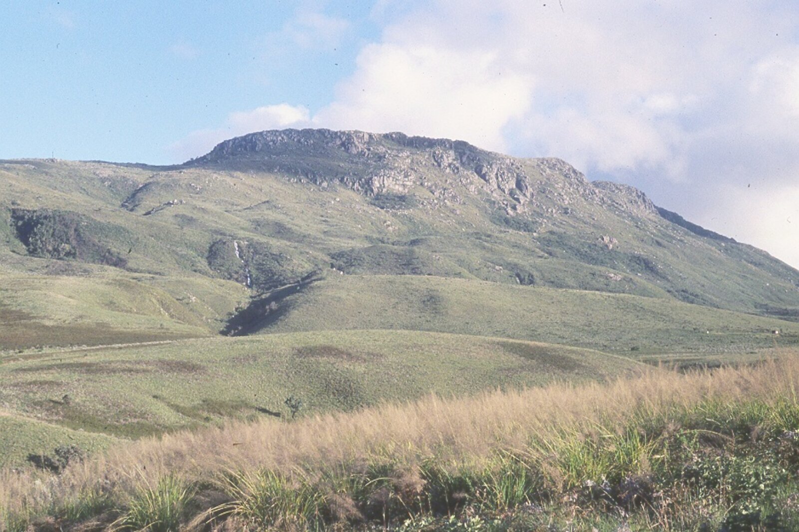 Mount Nyangani, Zimbabwe’s highest peak, rising above the highland downs of Nyanga