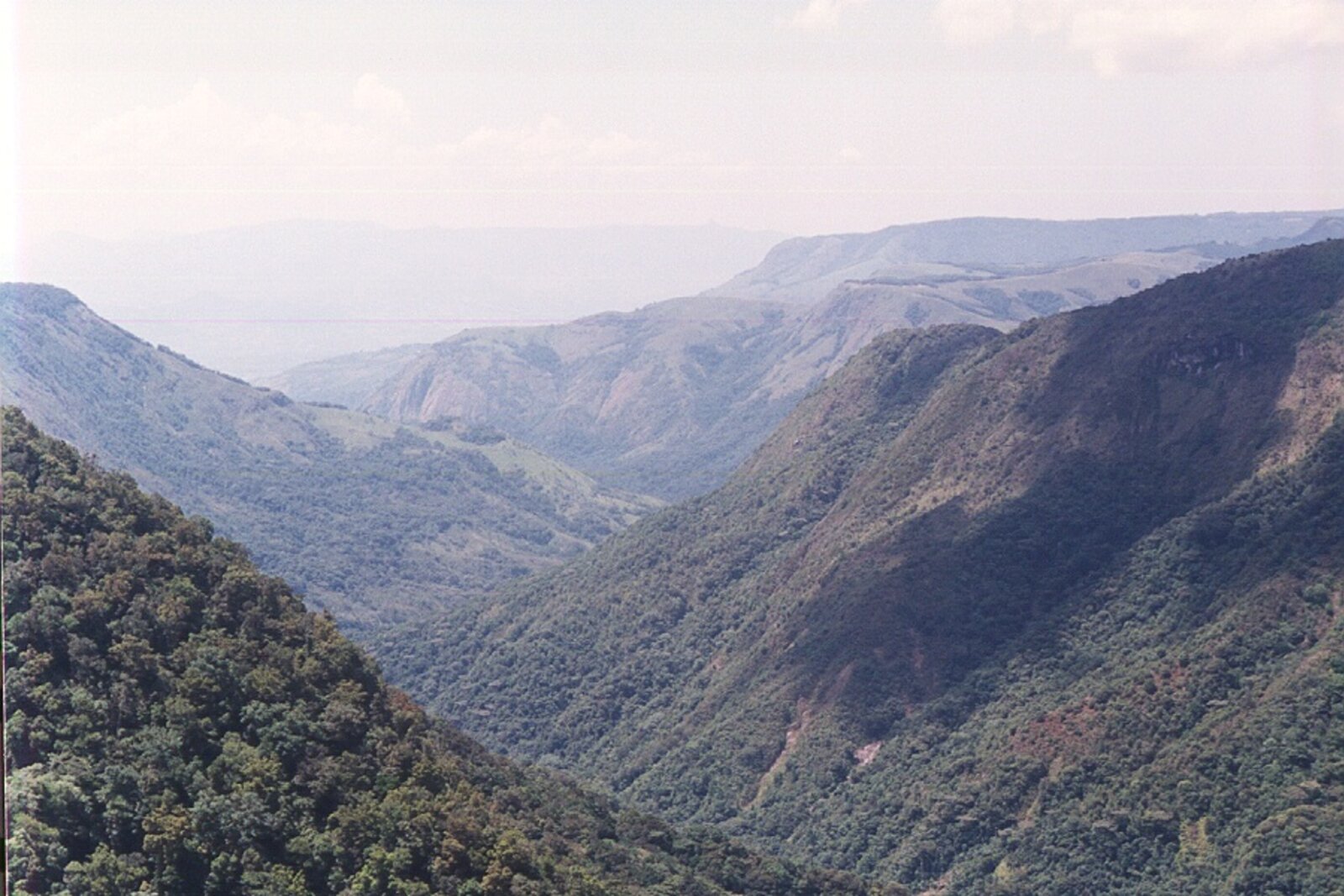 The Pungwe and Nyazengu gorges in Nyanga National Park, prime highland birding country
