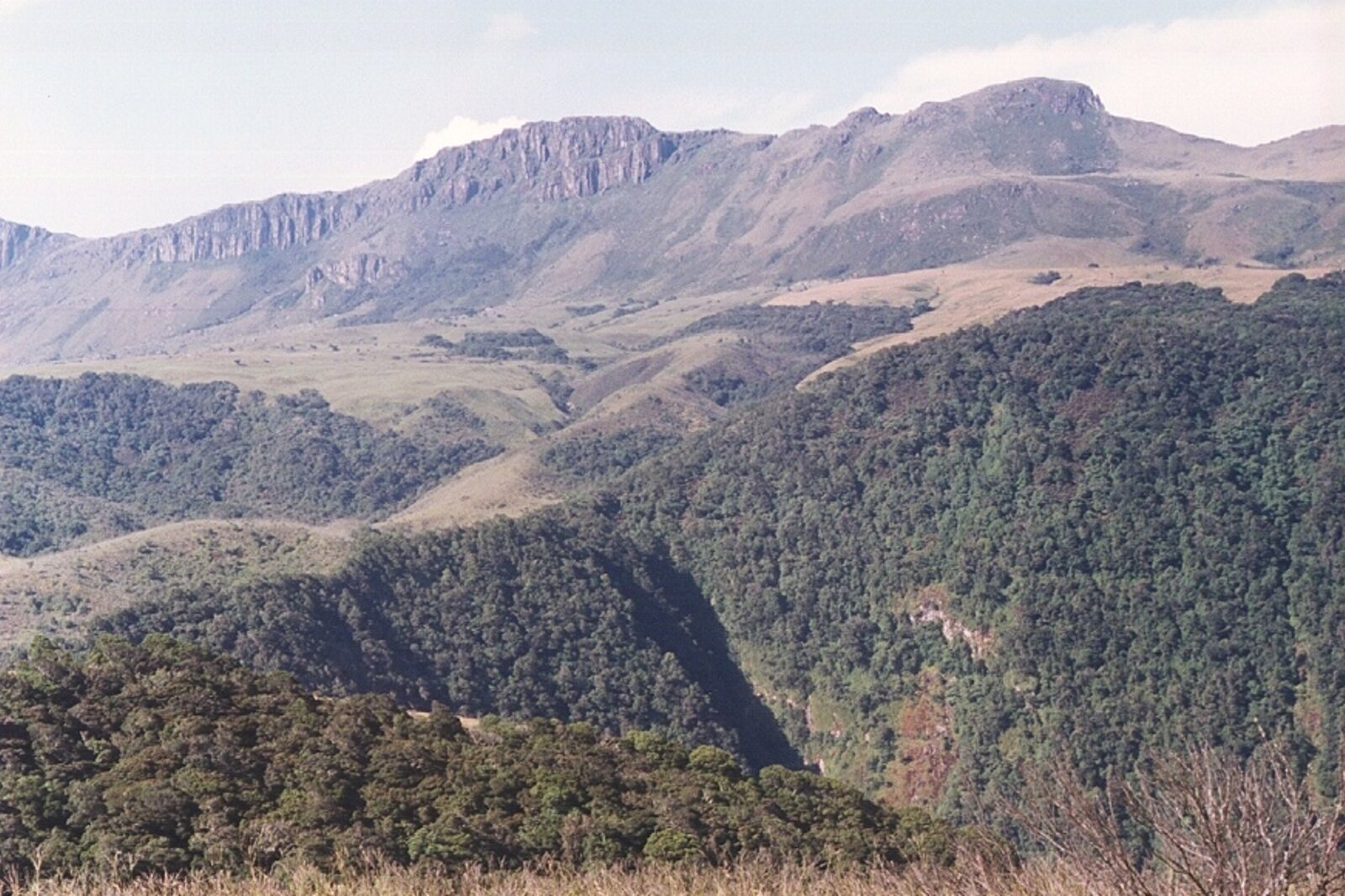 Nyanga landscape of montane forest, rolling moorland and granite peaks
