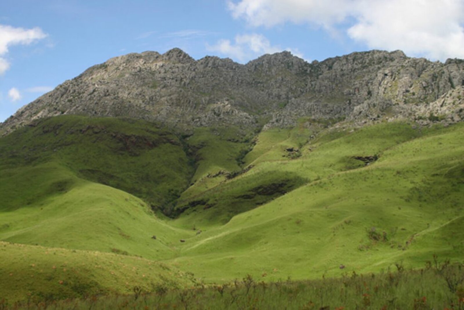 Green rolling downs of the Eastern Highlands near Nyanga, Zimbabwe