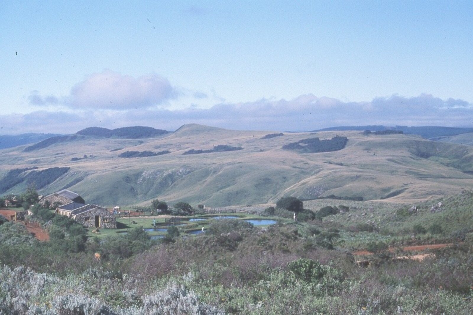 View over the Nyazengu highland landscape in Nyanga, Zimbabwe