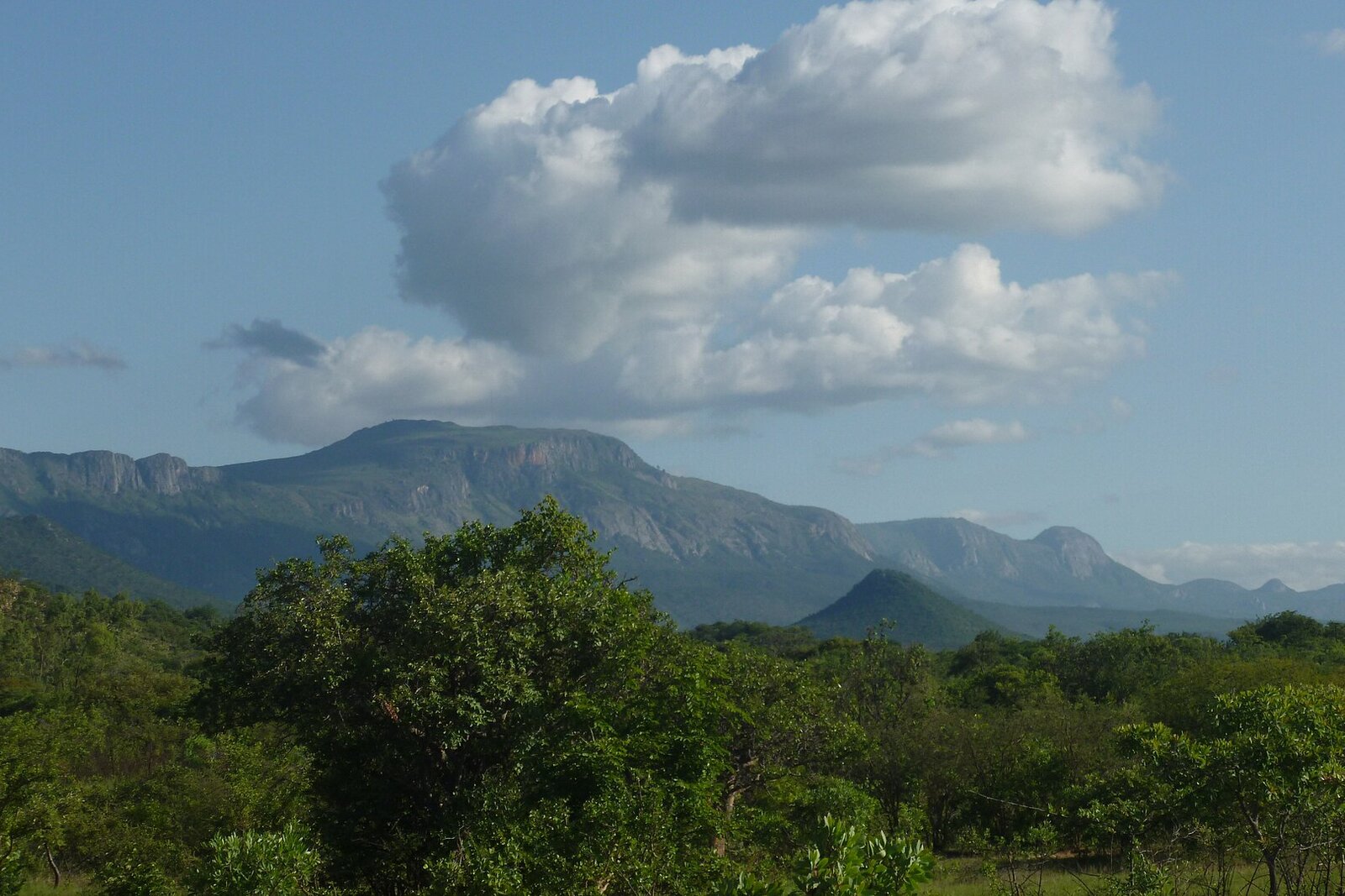 The Eastern Highlands range stretching along Zimbabwe’s eastern border near Nyanga