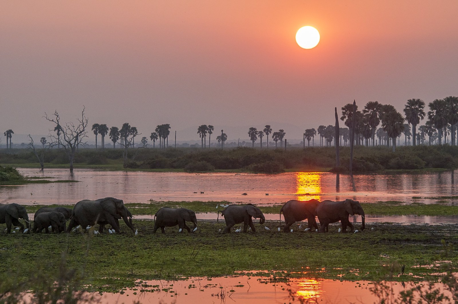 Boat safari on the Rufiji River in Nyerere National Park
