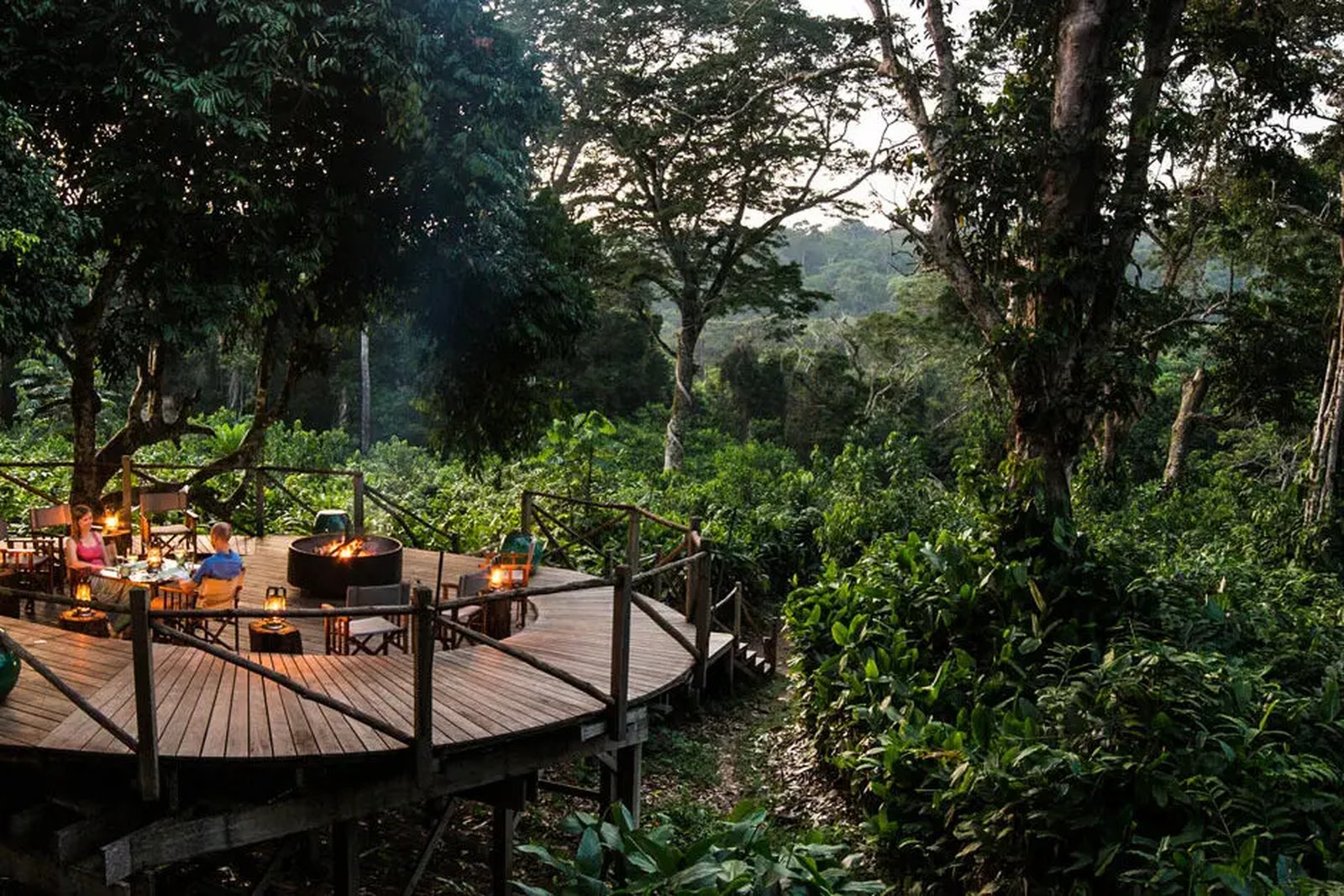 Ngaga Camp raised beneath the Odzala rainforest canopy