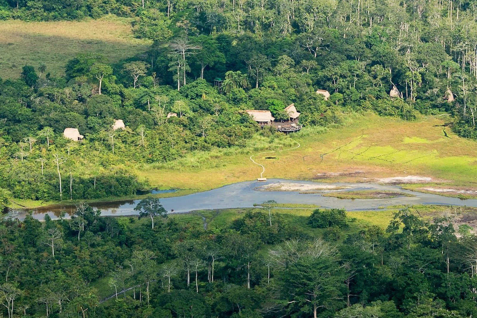 Lango Camp aerial view overlooking the forest baï in Odzala