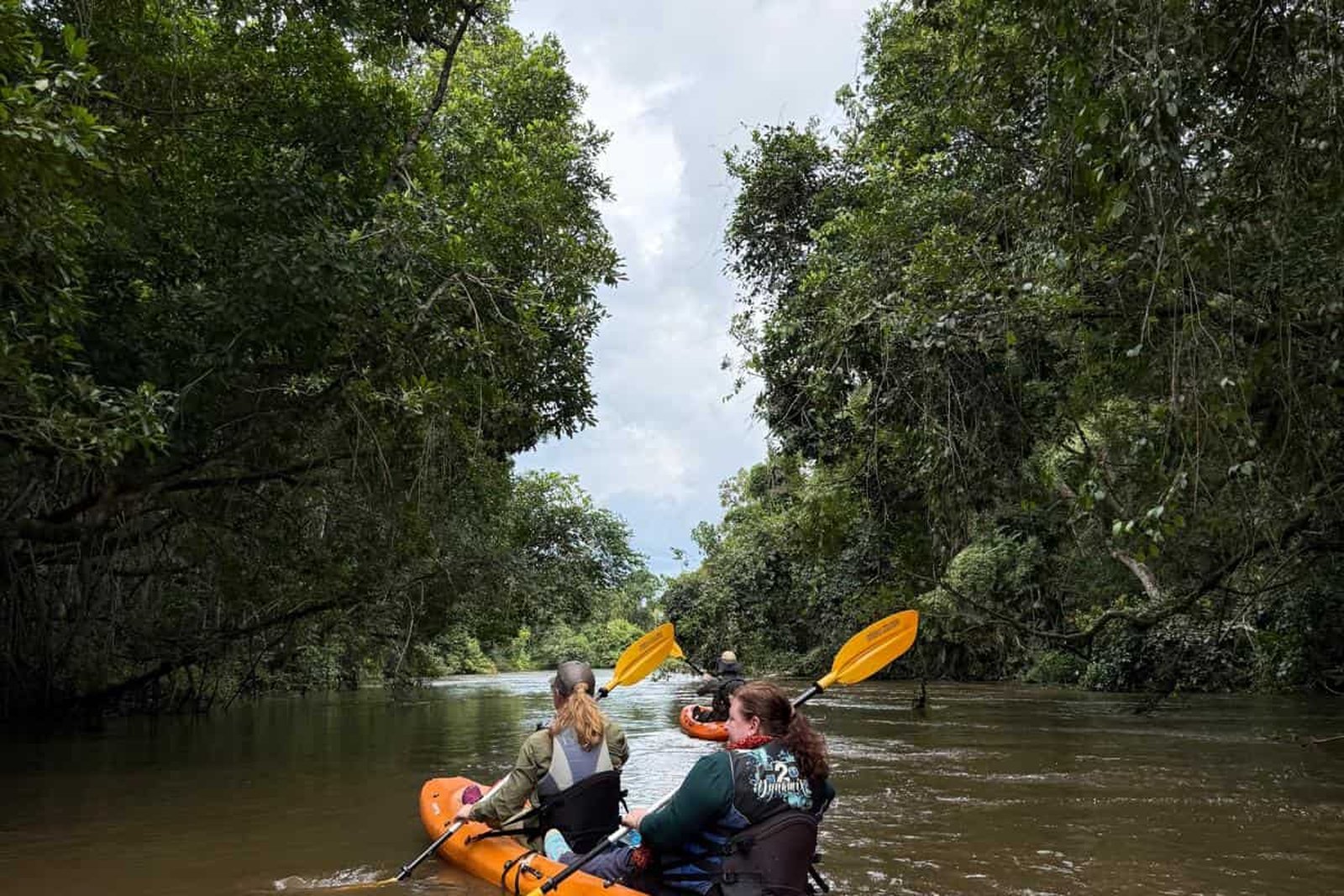 Kayaking the Lekoli River near Mboko Camp
