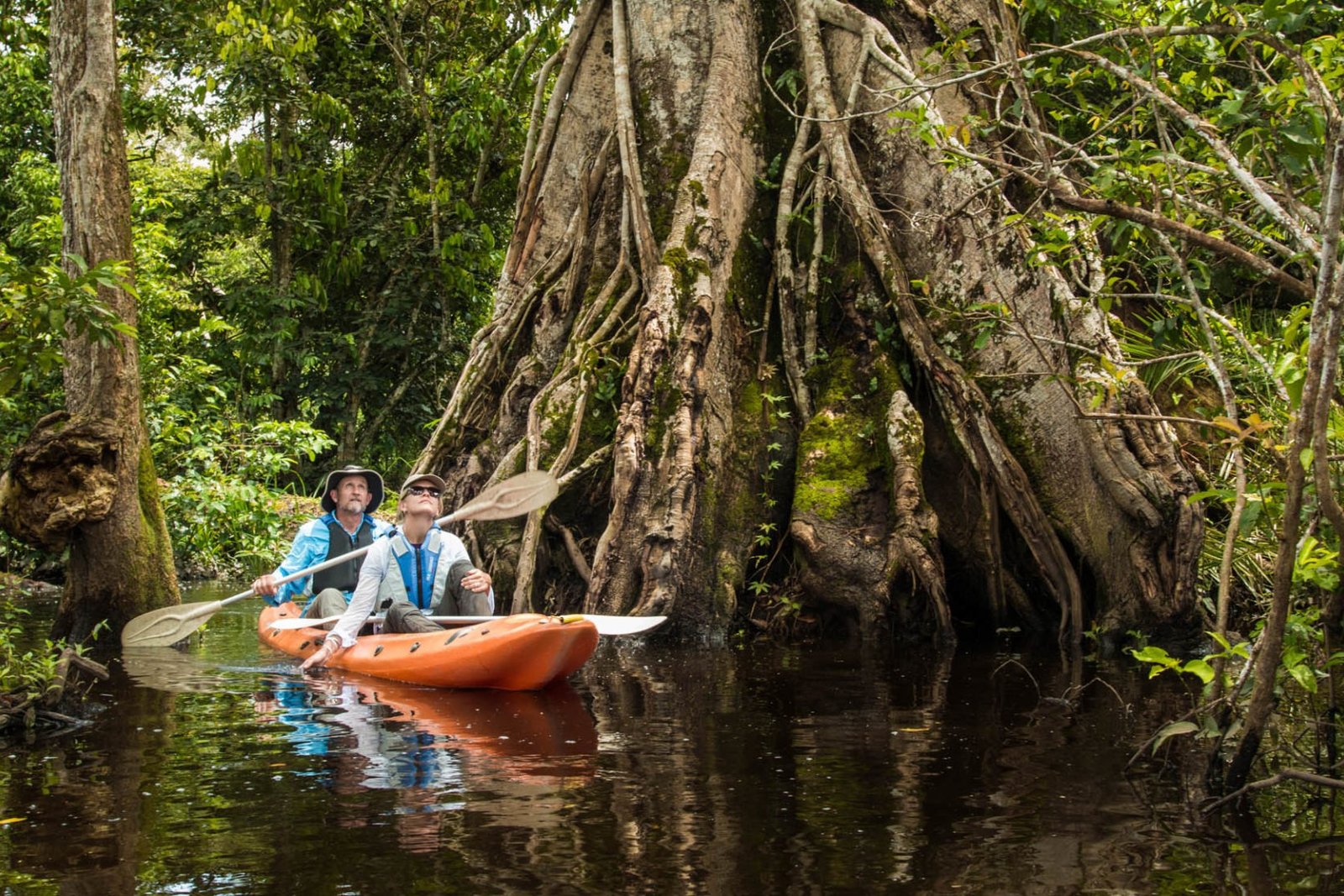 Mboko Camp river kayak and pirogue activity on the Lekoli in Odzala