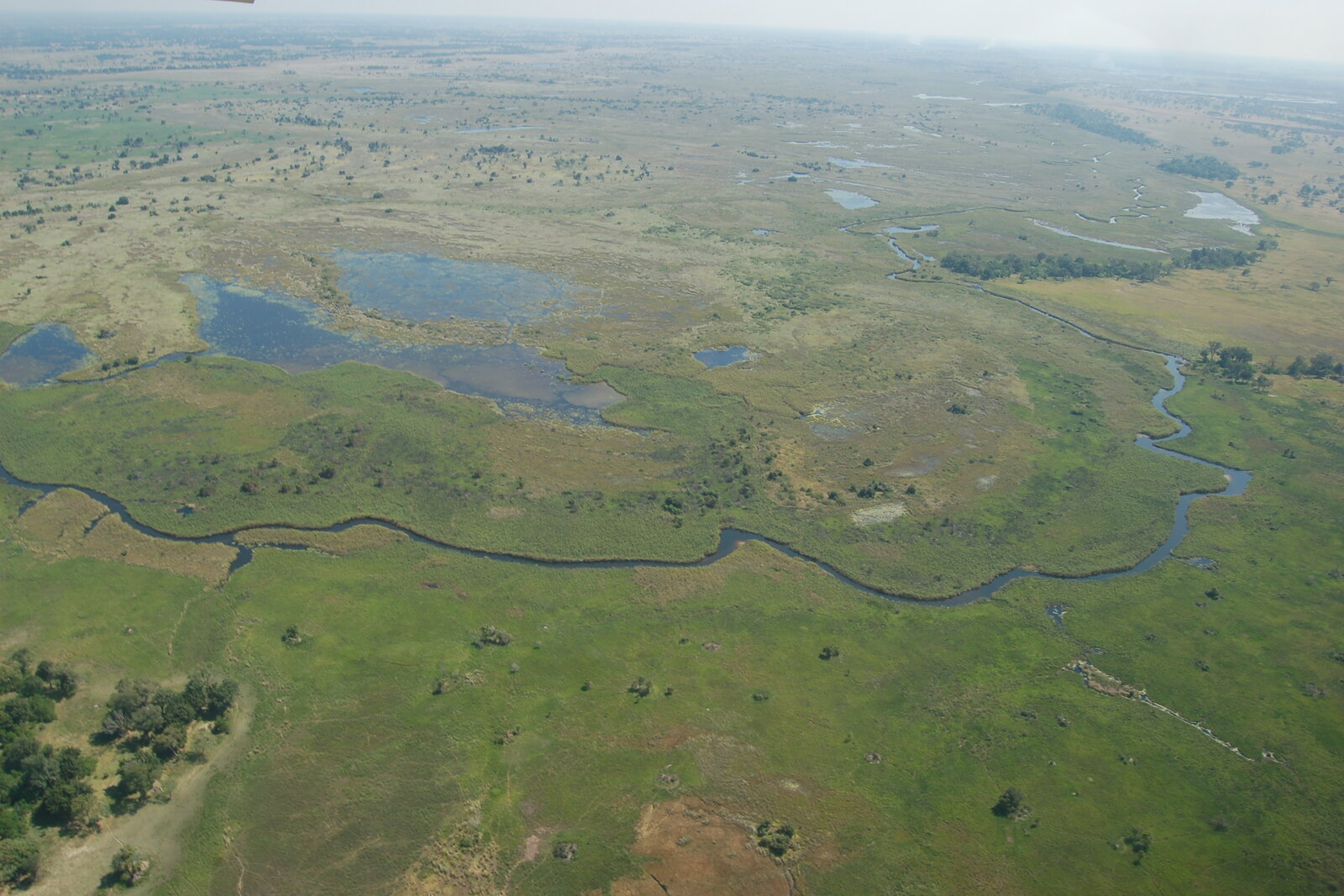 An aerial view of the Okavango Delta's silver channels threading between emerald islands in Botswana