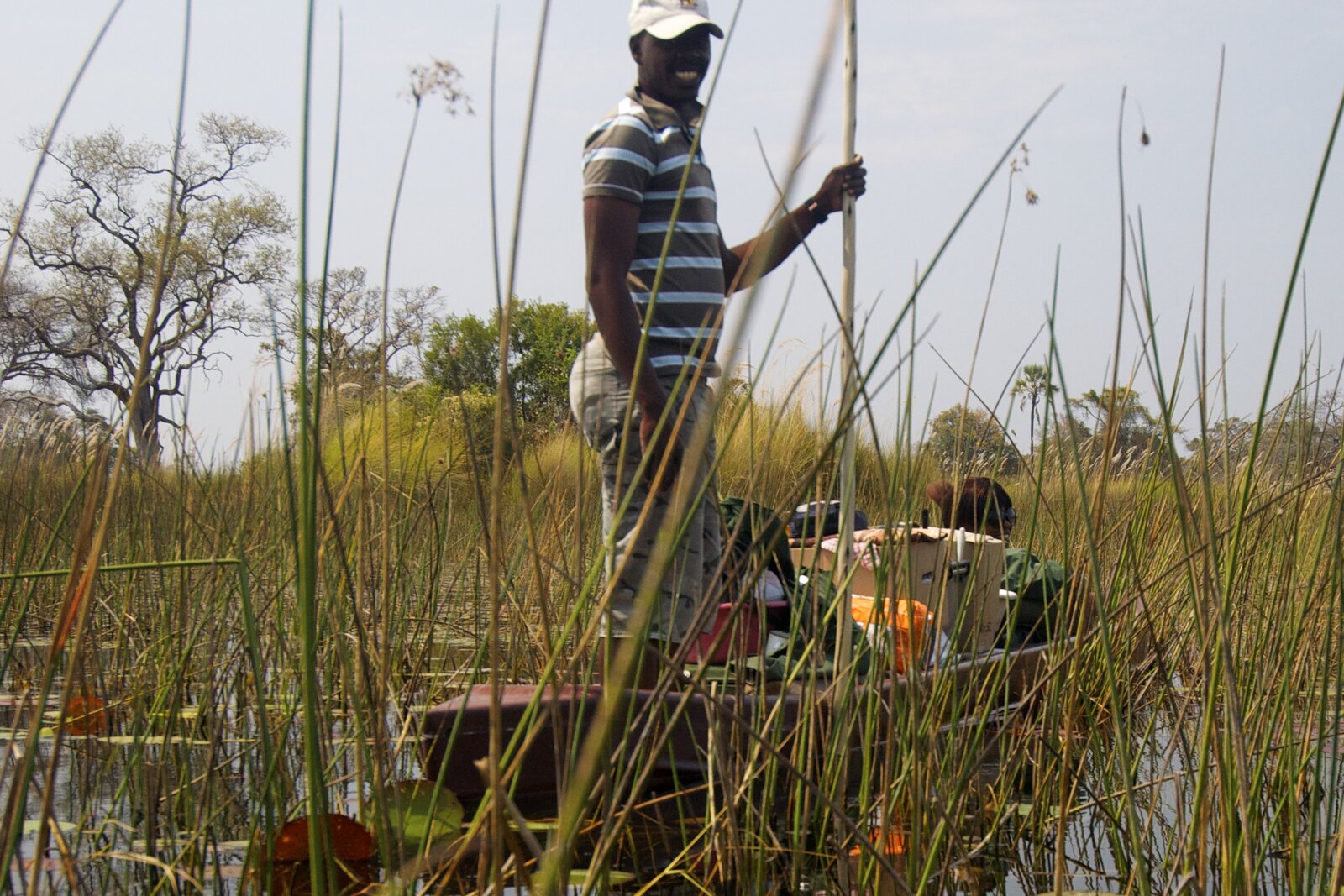 A guide poles a traditional mokoro dugout canoe through papyrus reeds in the Okavango Delta