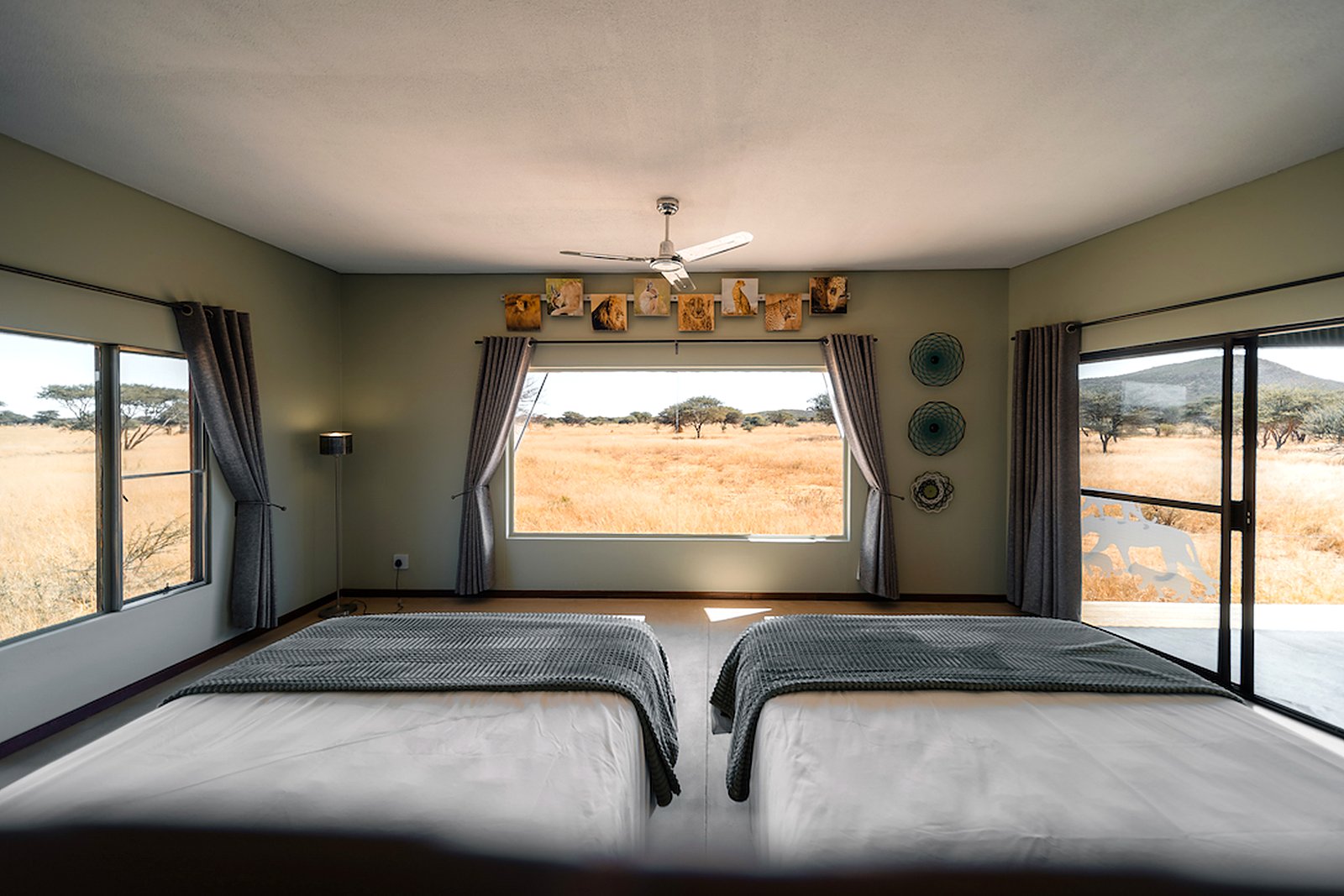 Rooms overlooking a floodlit waterhole at Okonjima, home of AfriCat