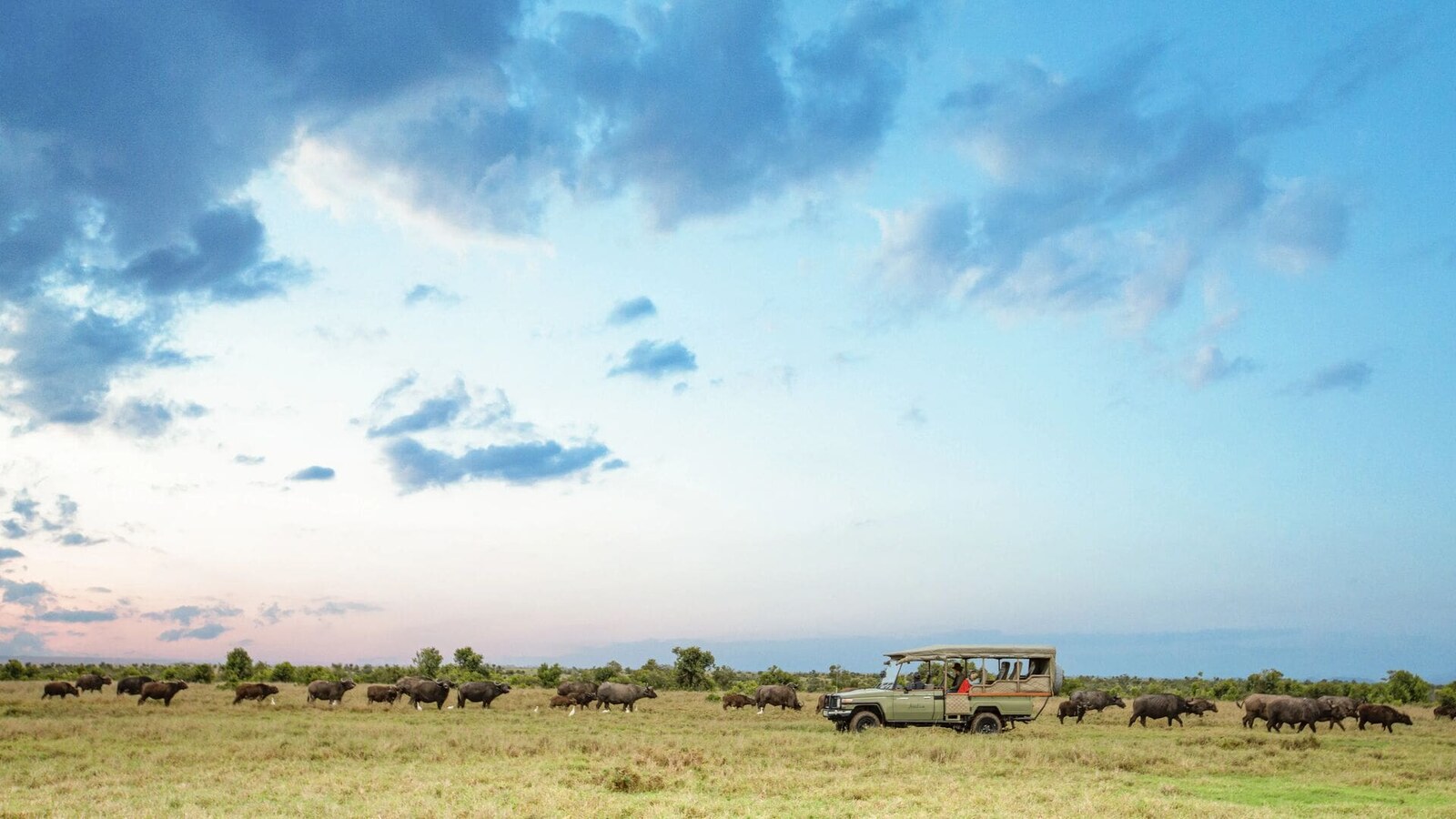 Sunset game drive at Ol Pejeta Conservancy Kenya