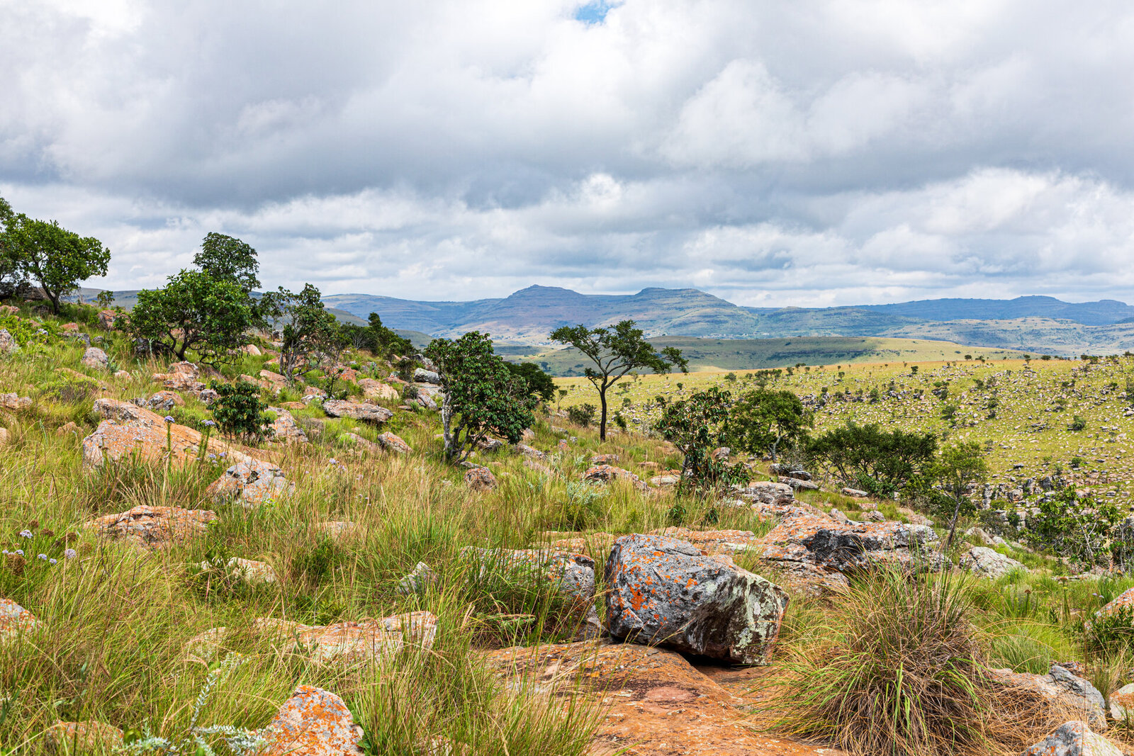 The Highveld escarpment of the Panorama Route falling away towards the Kruger Lowveld