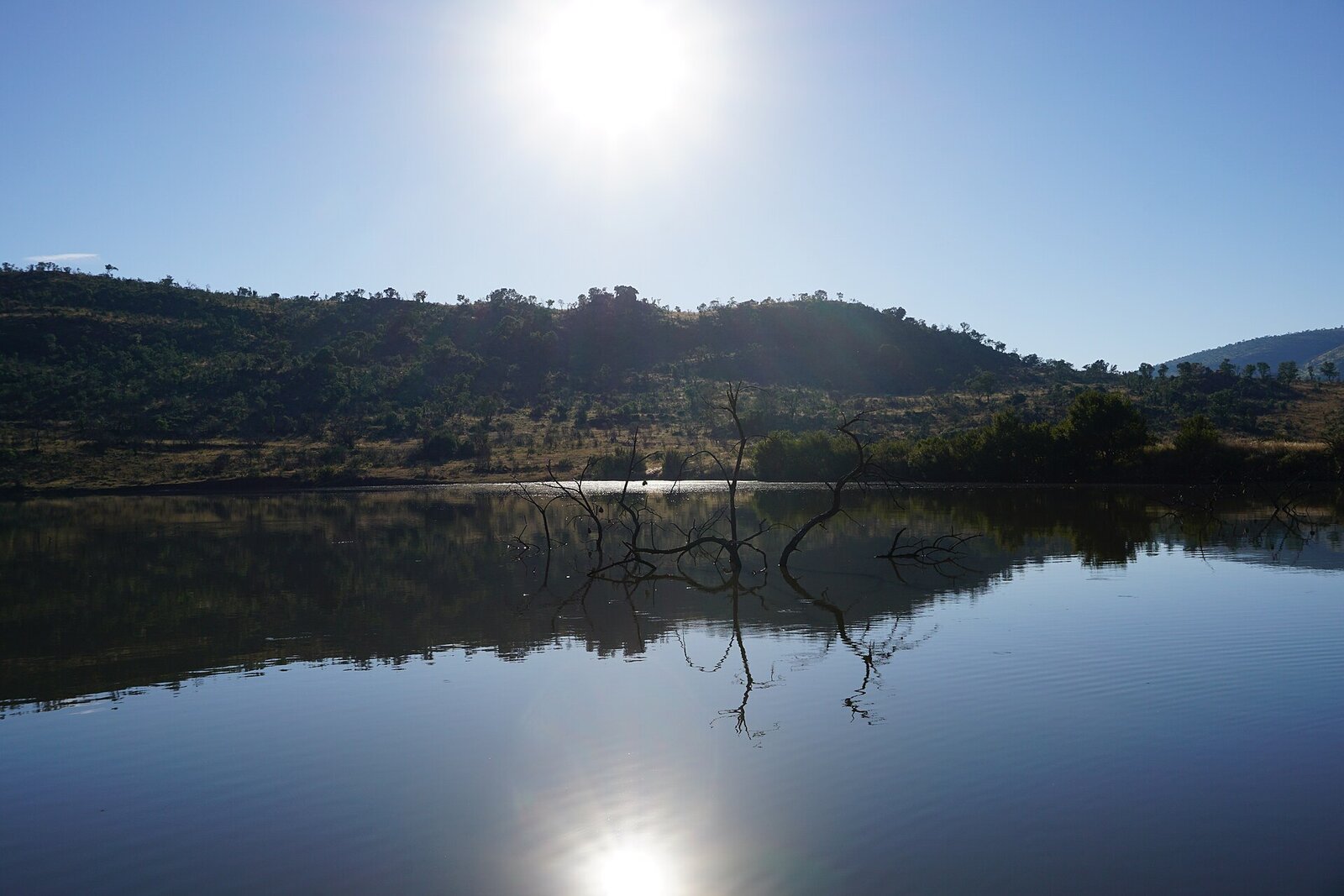 Sunset game drive in Pilanesberg National Park
