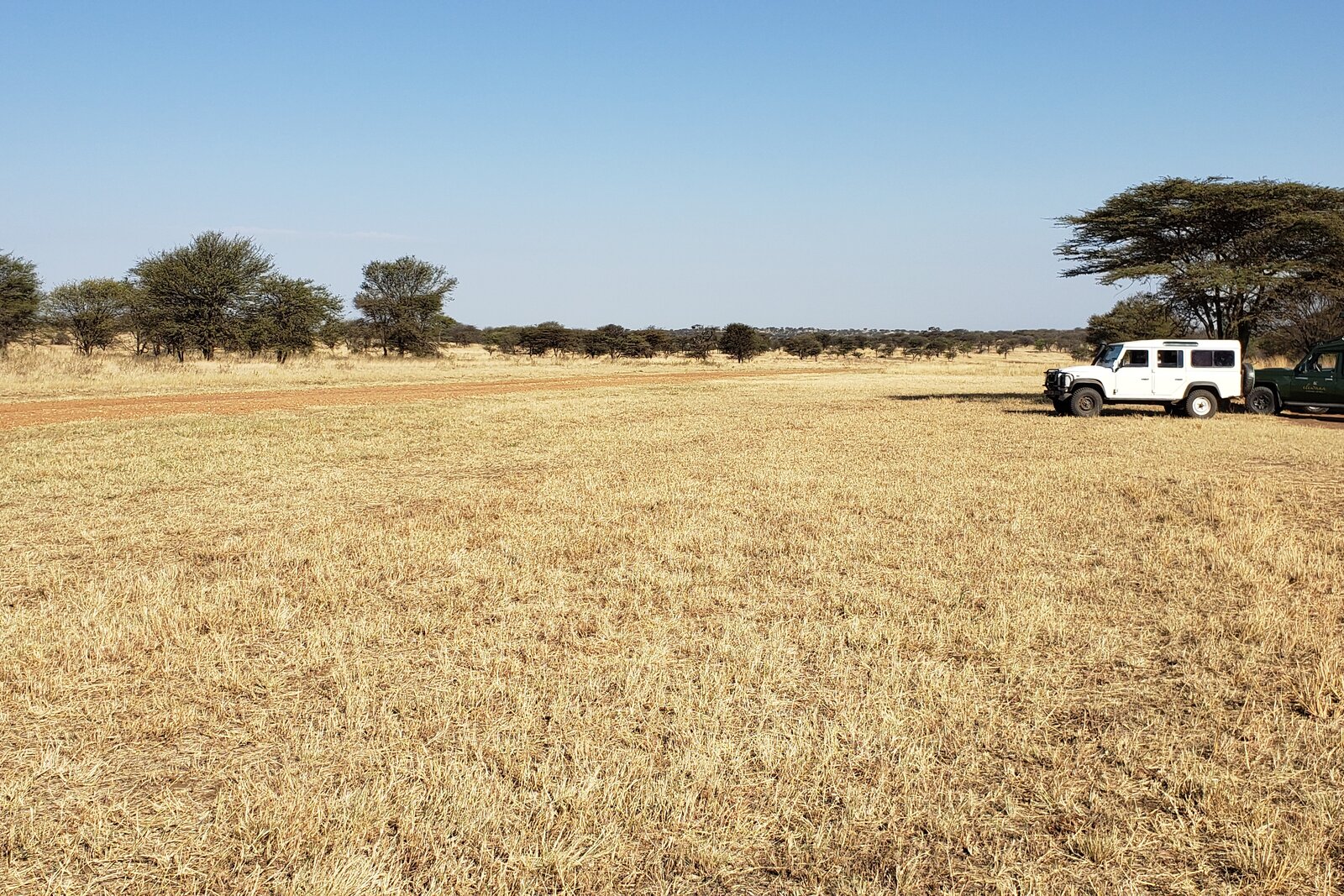 A light-aircraft airstrip with a safari vehicle waiting on the Luxury Tanzania Fly-In Private Safari