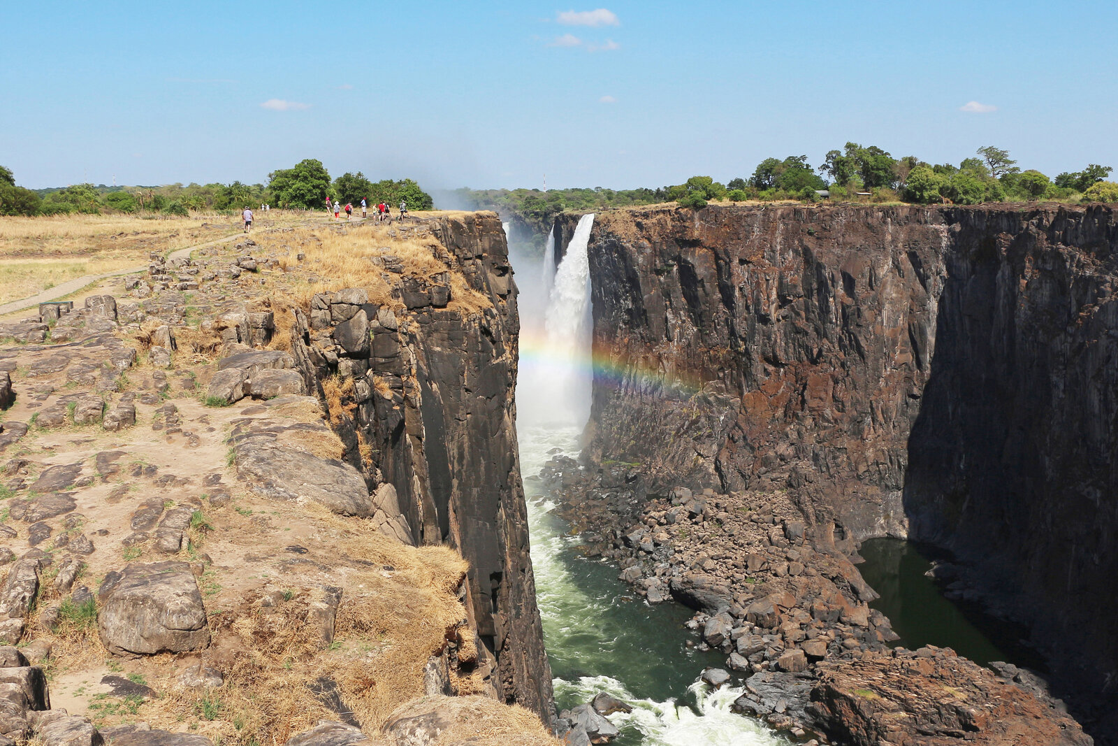 Buffalo in open thornveld on the Durban Zululand Big Five Private Safari