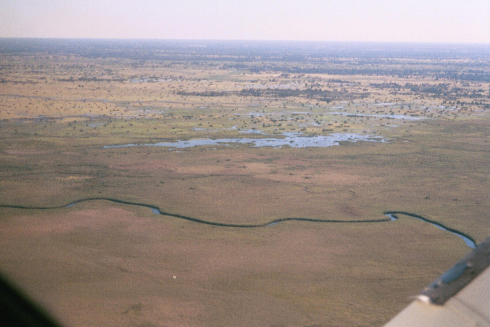 Aerial view of the Okavango Delta channels from a light aircraft