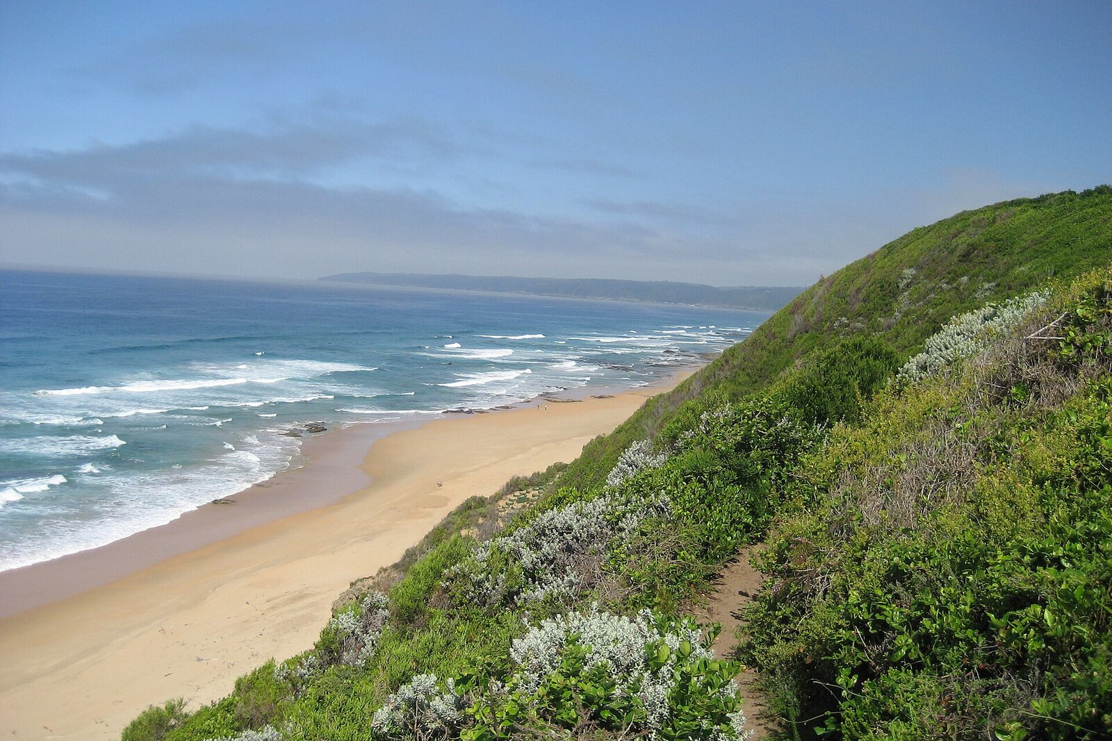 A private vehicle on a scenic coastal road on the Garden Route at golden hour