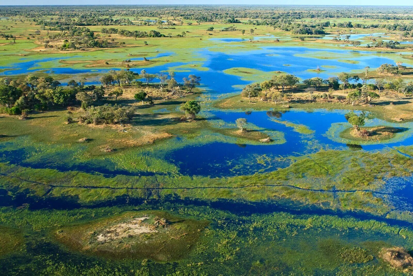 Moremi Game Reserve — Botswana