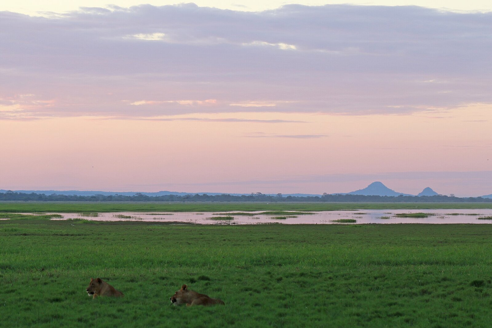 Gorongosa National Park — Mozambique