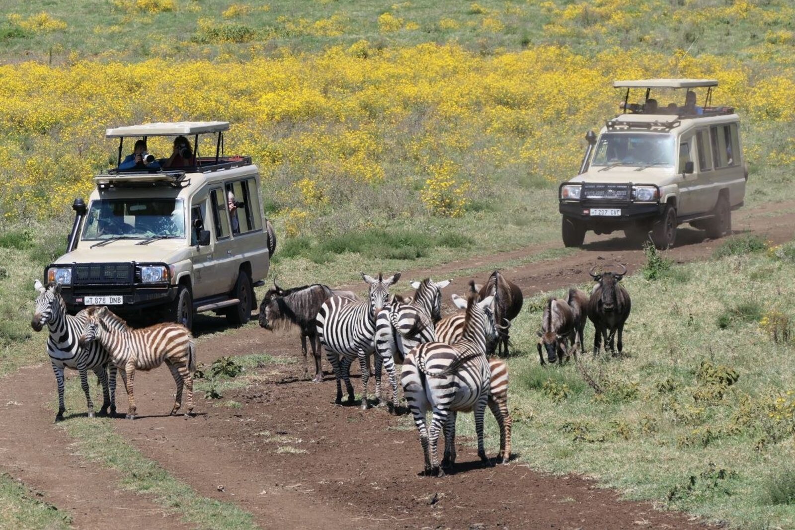 Ngorongoro Crater — Tanzania