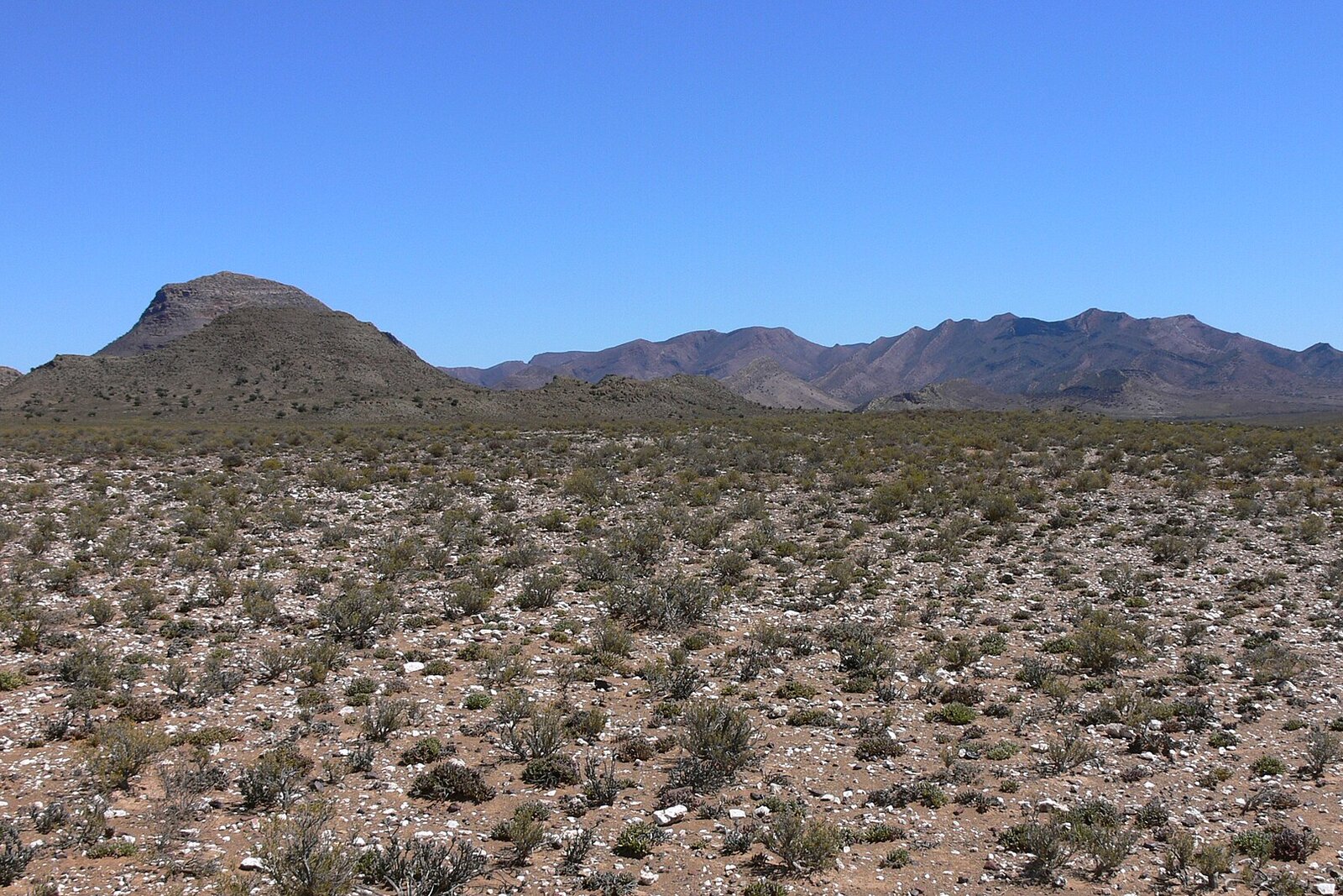 The Klein Karoo landscape with mountains at golden hour on Route 62