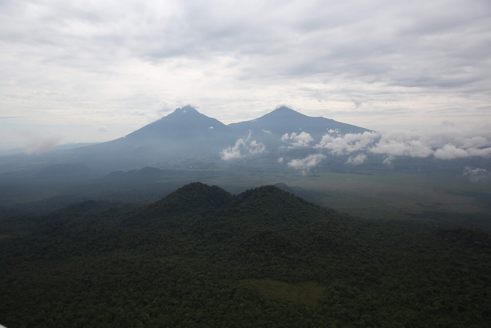 The Virunga volcanoes rising above Volcanoes National Park, Rwanda