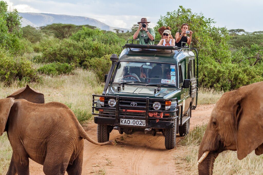 Sunset game drive in the Sabi Sand Private Game Reserve