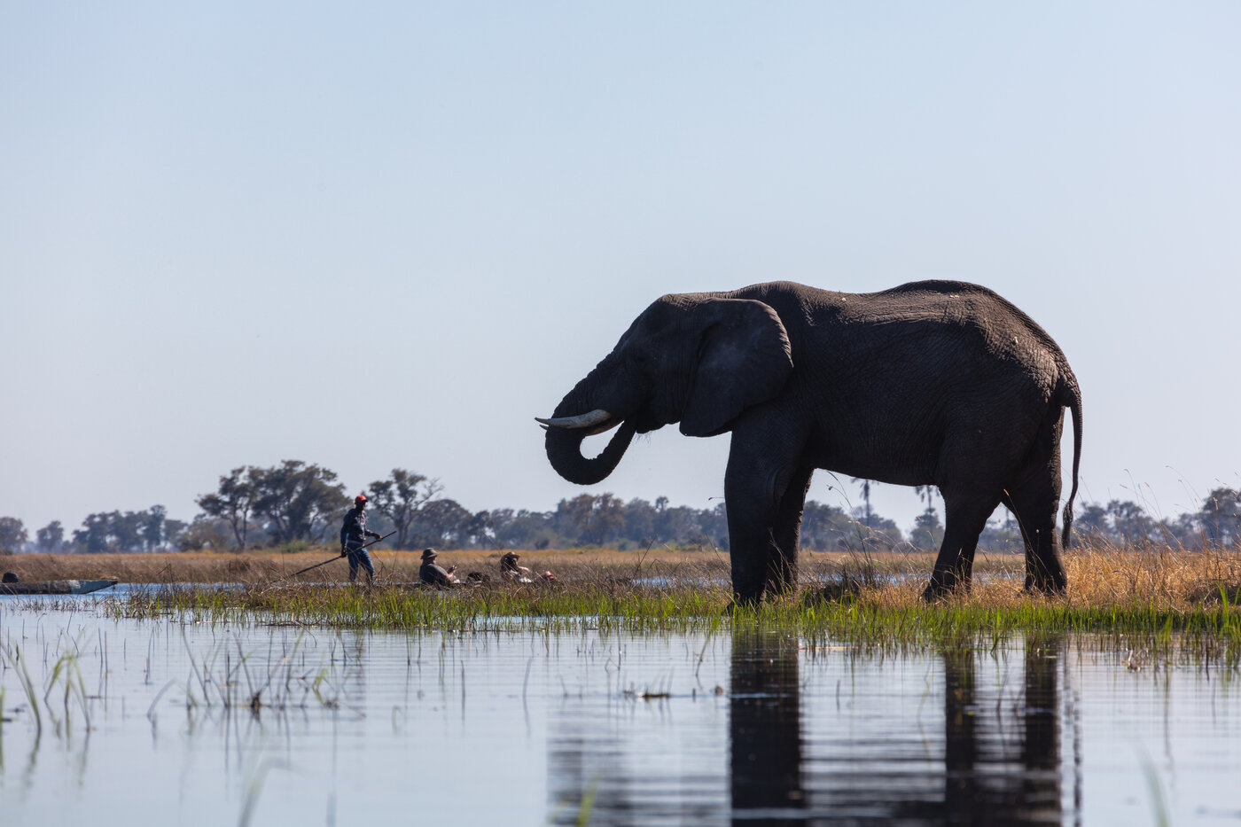 Mombo Camp — Chief's Island, Moremi Game Reserve, Botswana