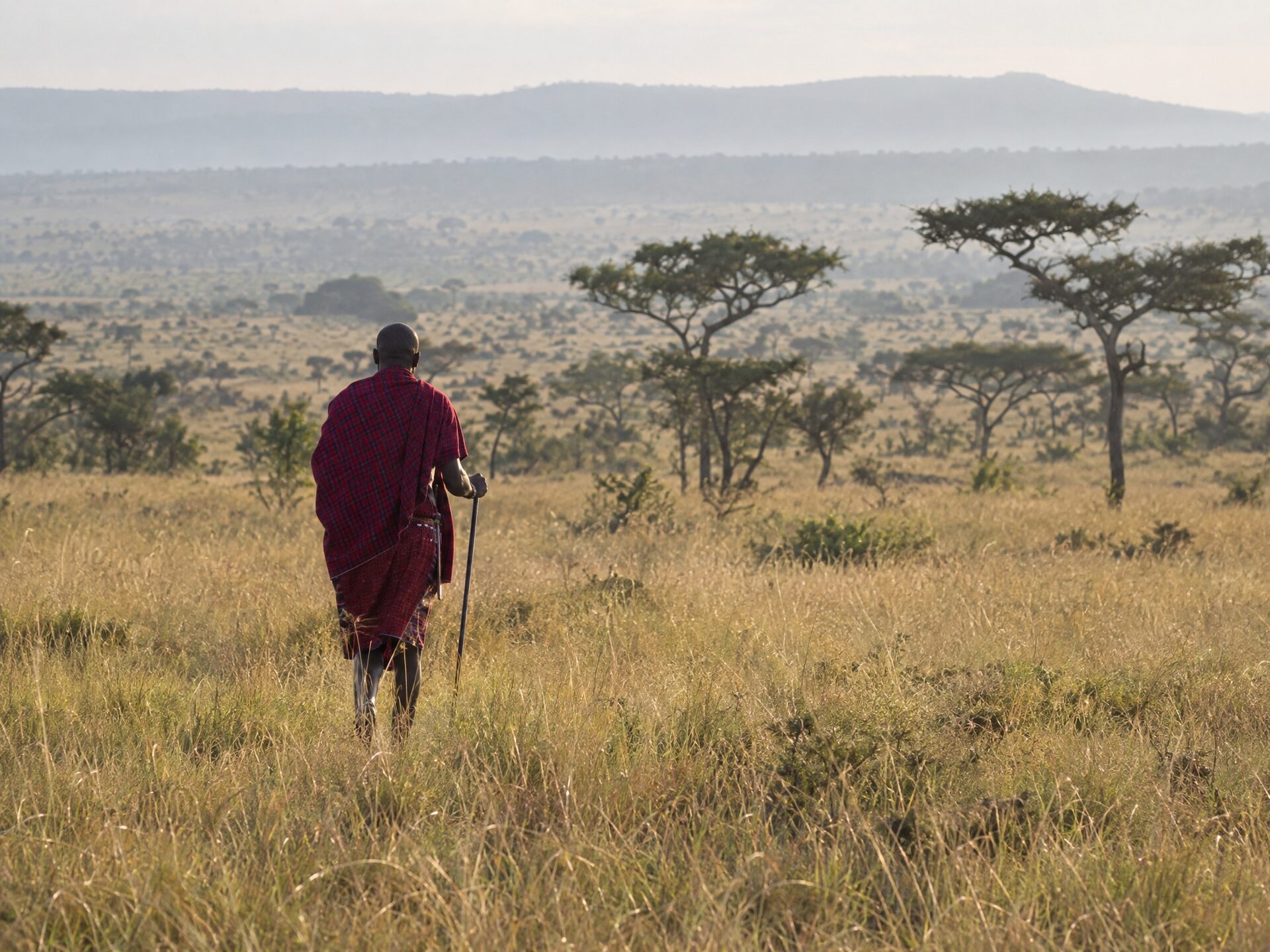 Guided walking safari with a Maasai guide across the Mara Naboisho Conservancy plains