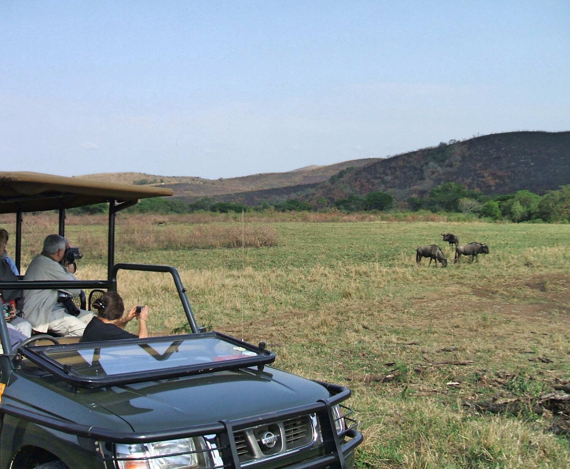 An open safari vehicle with guests watching wildlife on the plains in KwaZulu-Natal