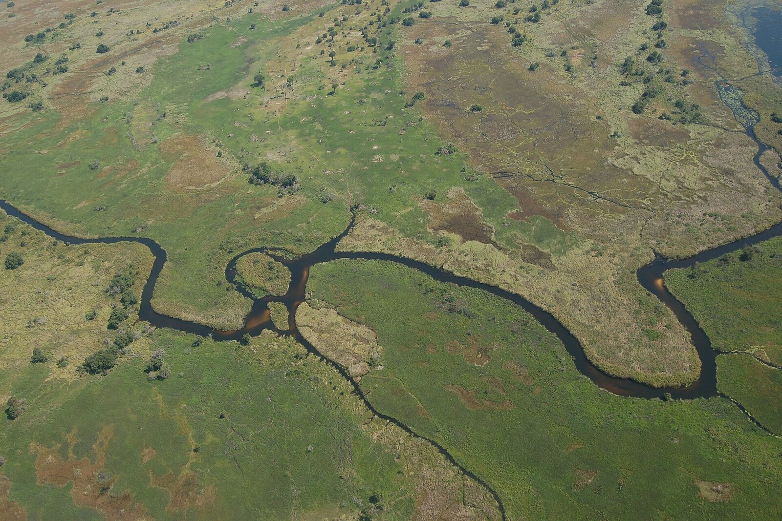 Aerial view of the channels and islands of the Okavango Delta, Botswana