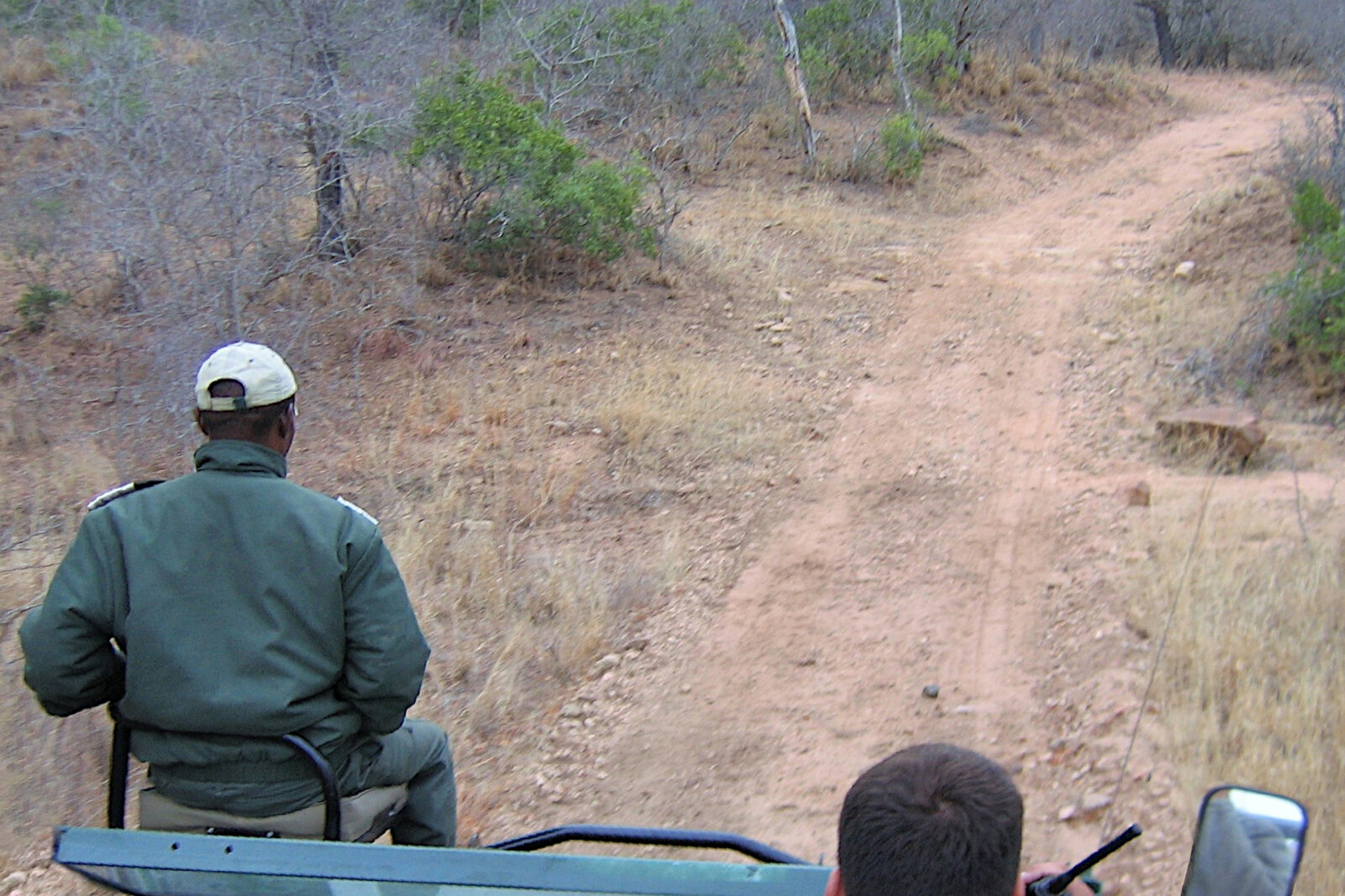 A guide driving an open safari vehicle