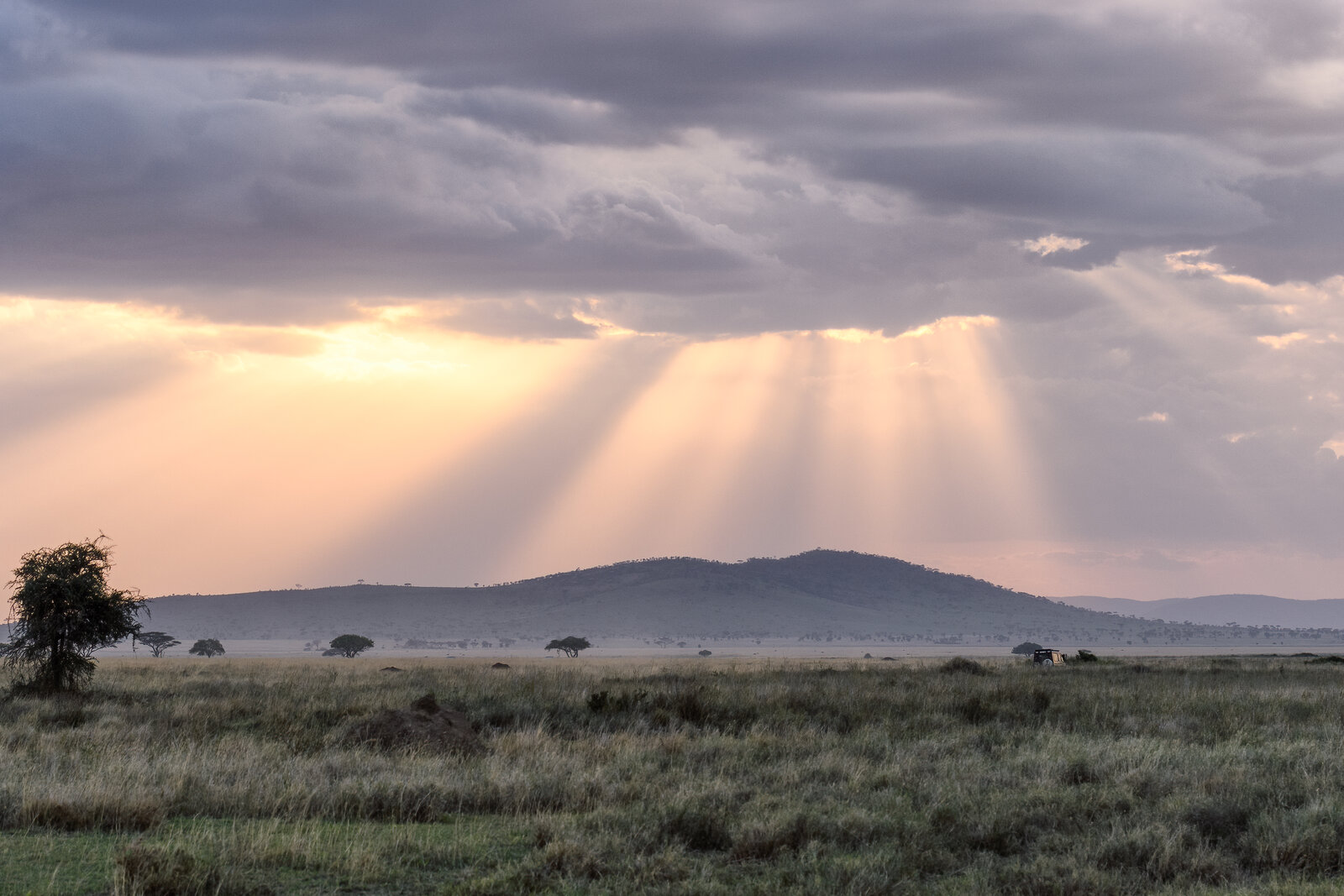 Dramatic storm clouds building over the green Serengeti
