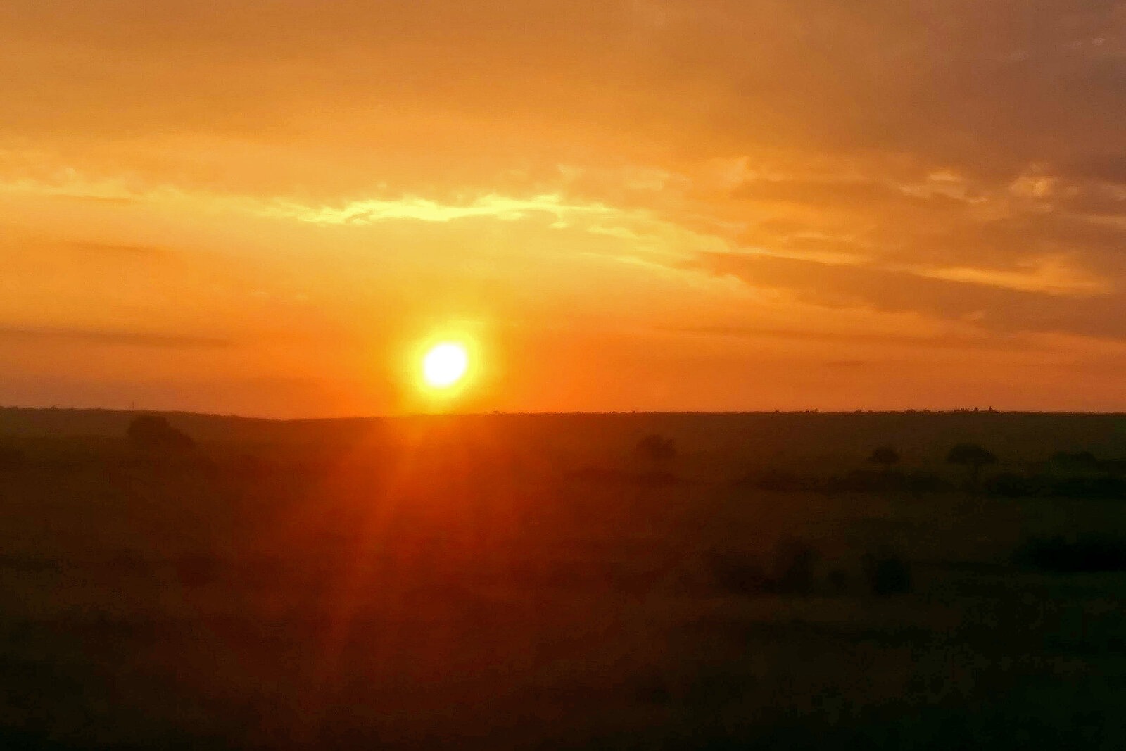Green-season sunset over the southern Serengeti during calving season