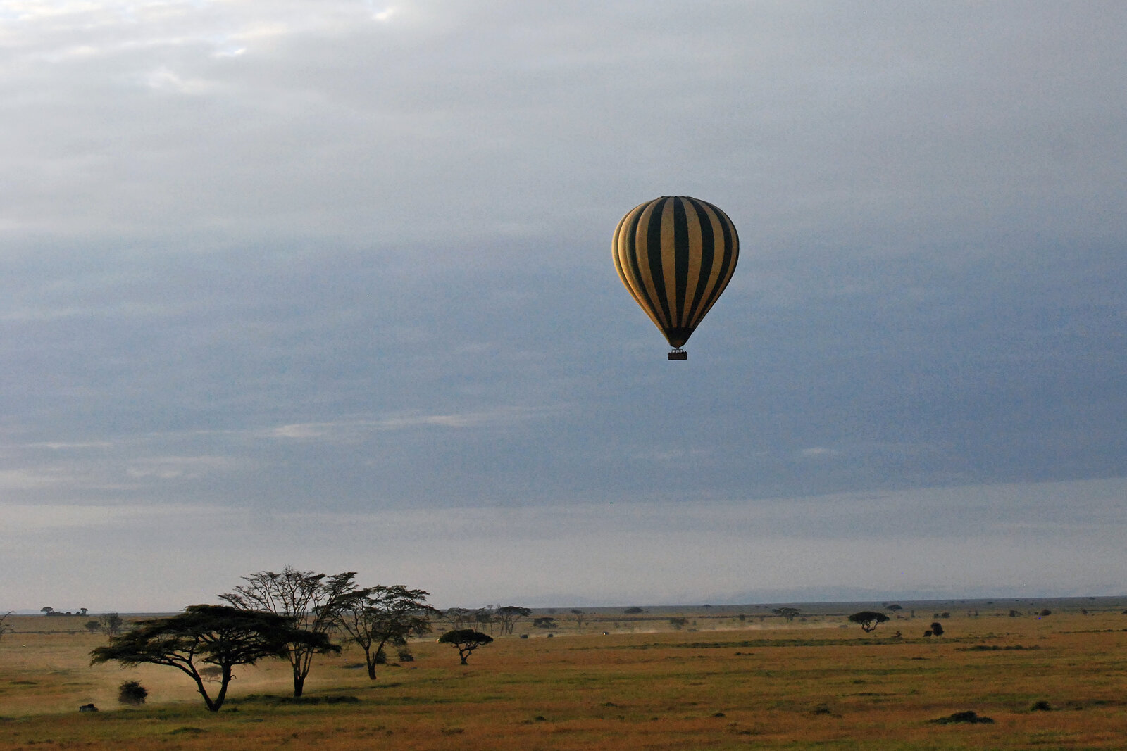 A hot air balloon rising over the Serengeti at dawn