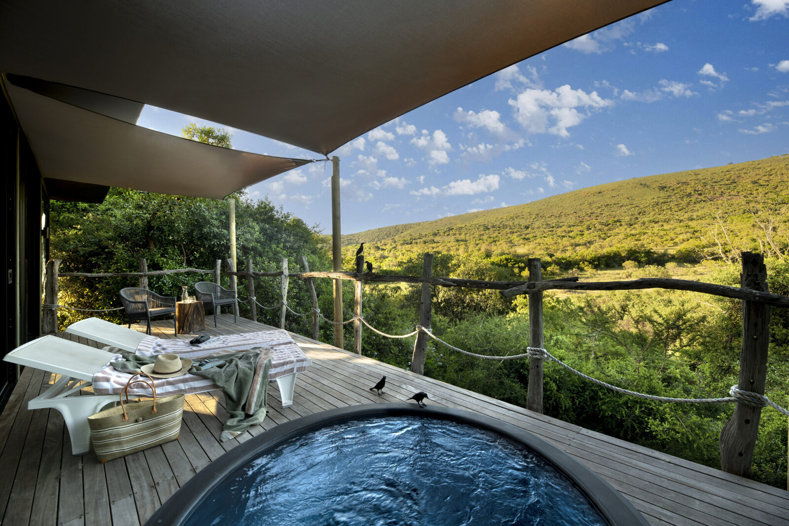 A private deck and plunge pool overlooking the bush at a Shamwari lodge