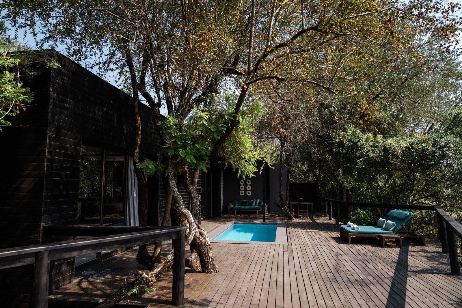A private timber deck at Silvan Safari with a plunge pool and loungers set beneath riverine trees