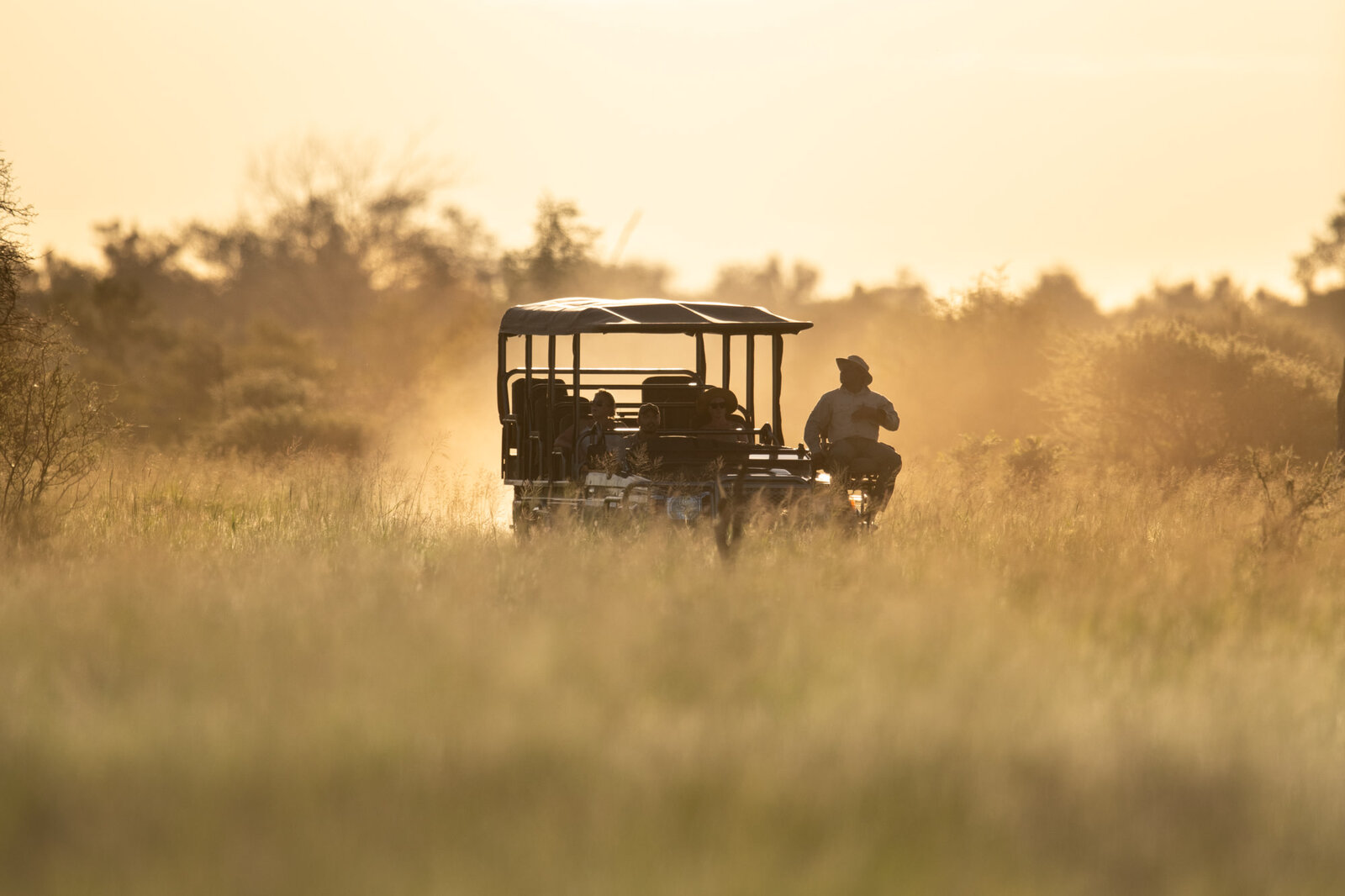 Singita game drive vehicle in golden light on the Lebombo grasslands