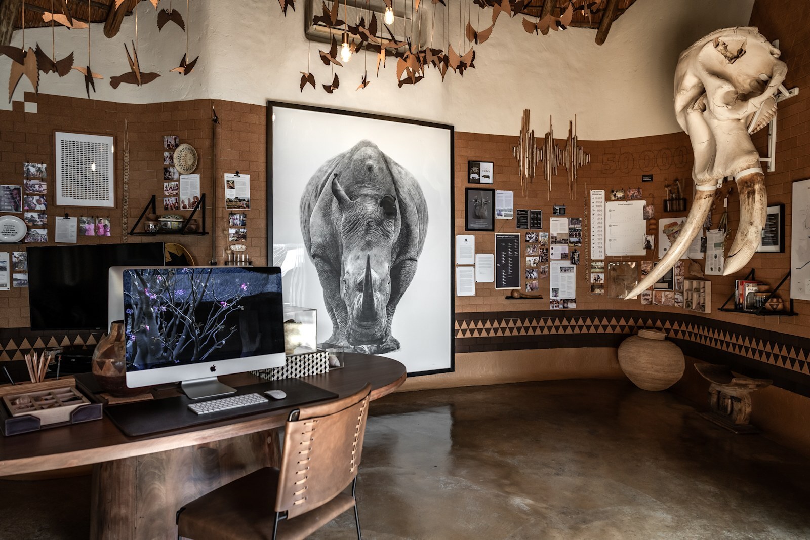 The Conservation Room at Singita Pamushana displaying wildlife photography and artefacts