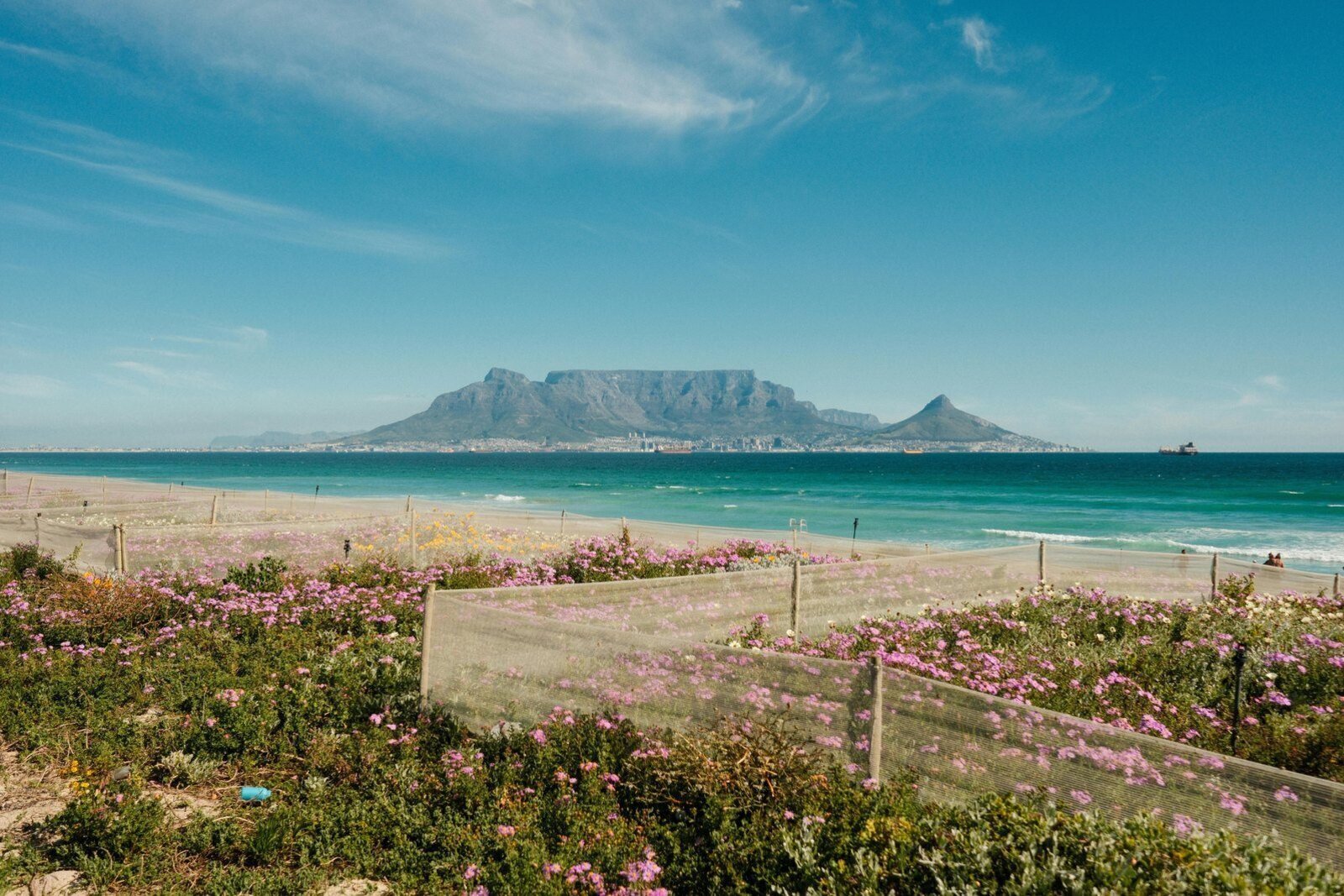 A small-group tour below Table Mountain in Cape Town