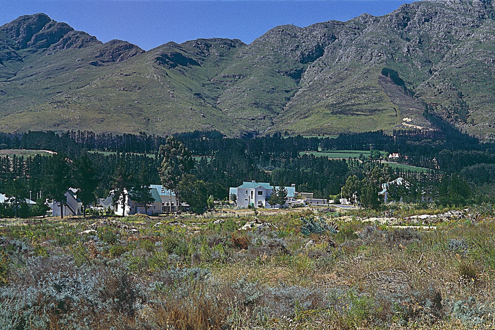 The Franschhoek valley ringed by mountains and vineyards