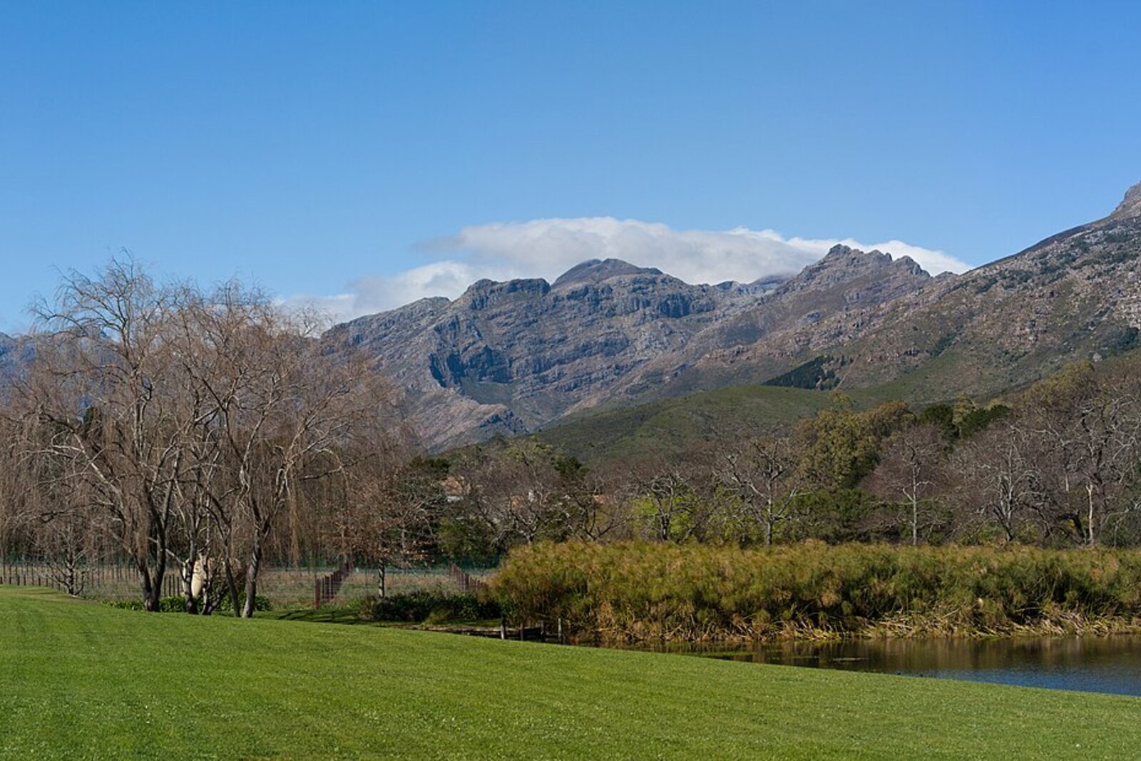 Vineyards of the Robertson wine valley in the Breede River basin
