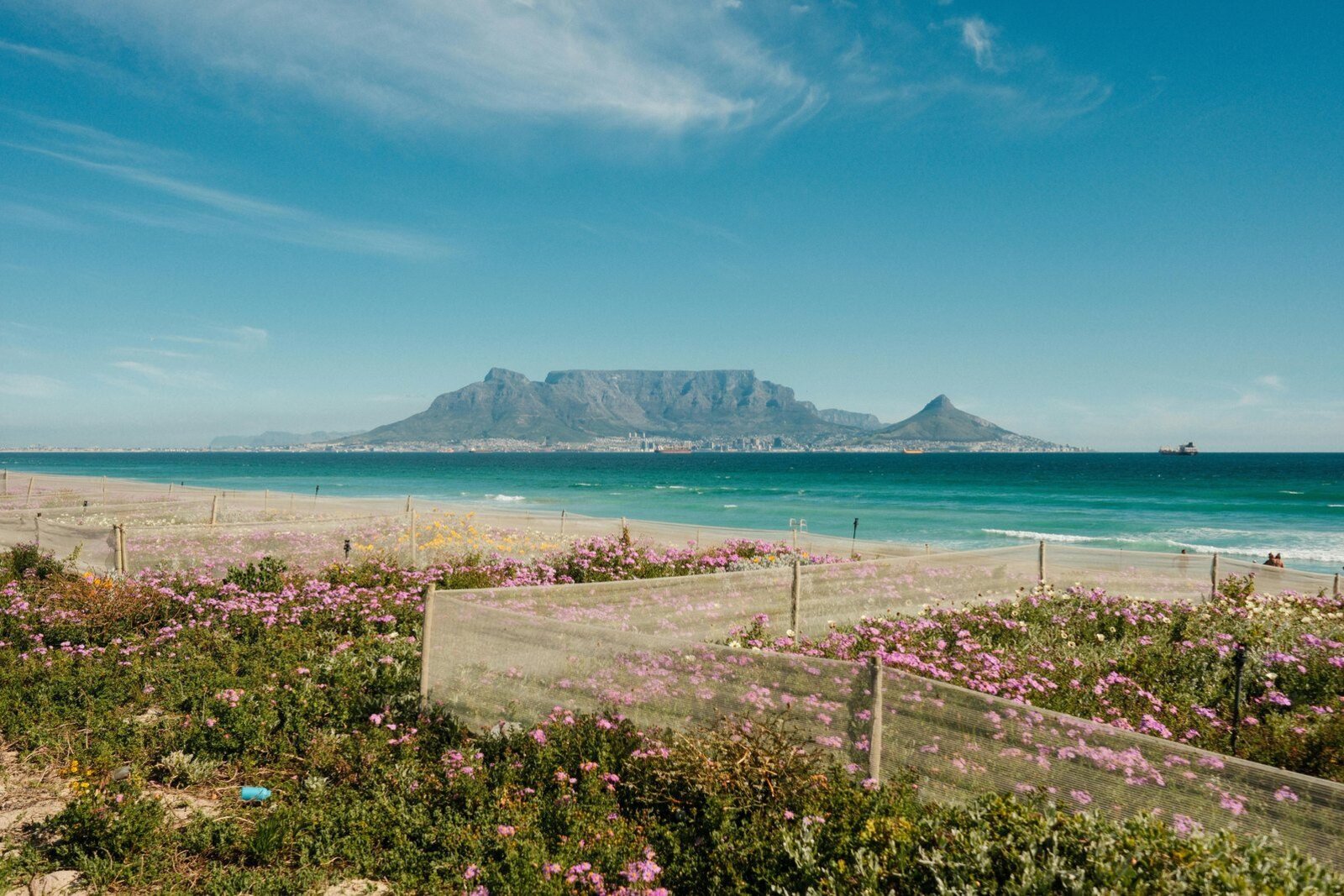 Table Mountain rising above the coast in Cape Town