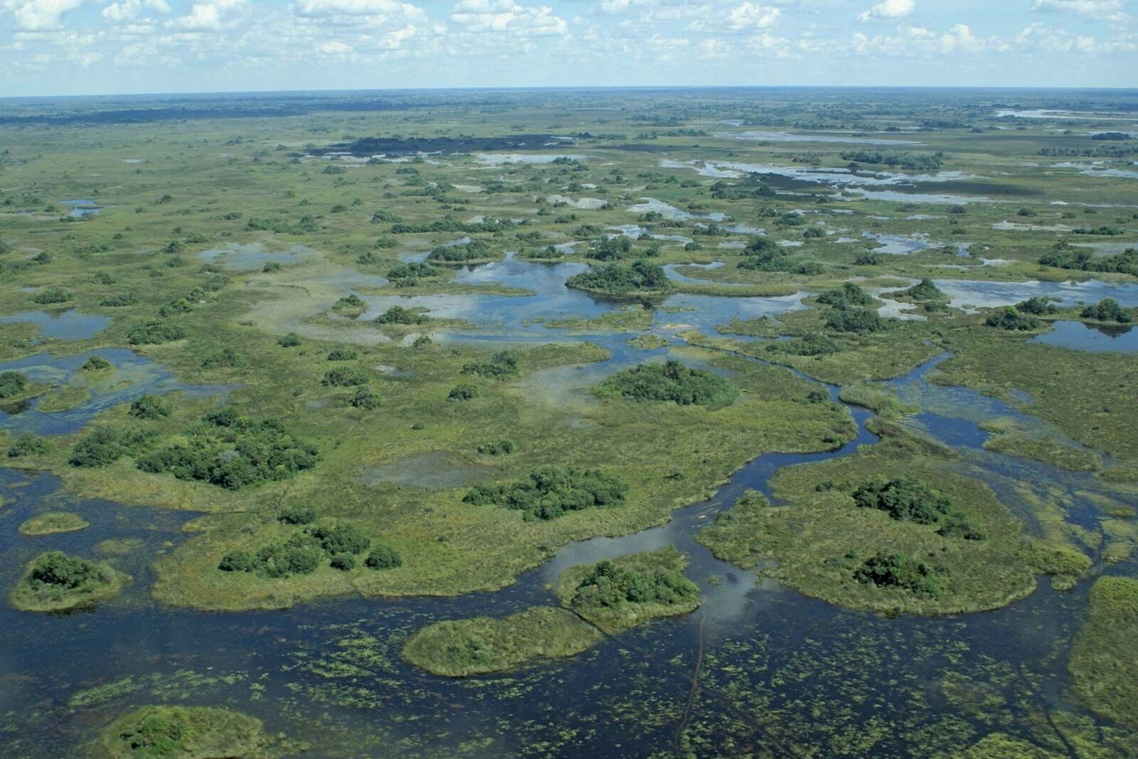 An aerial view of the Okavango Delta waterways on a Southern Africa safari