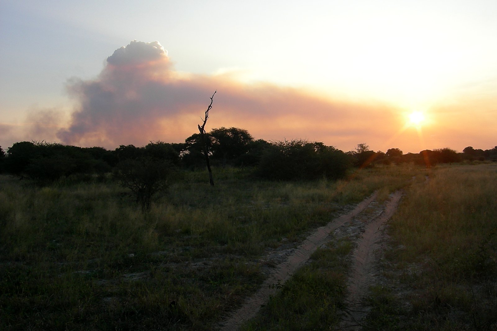 Guests settling into a star bed under open sky on the Makgadikgadi pans