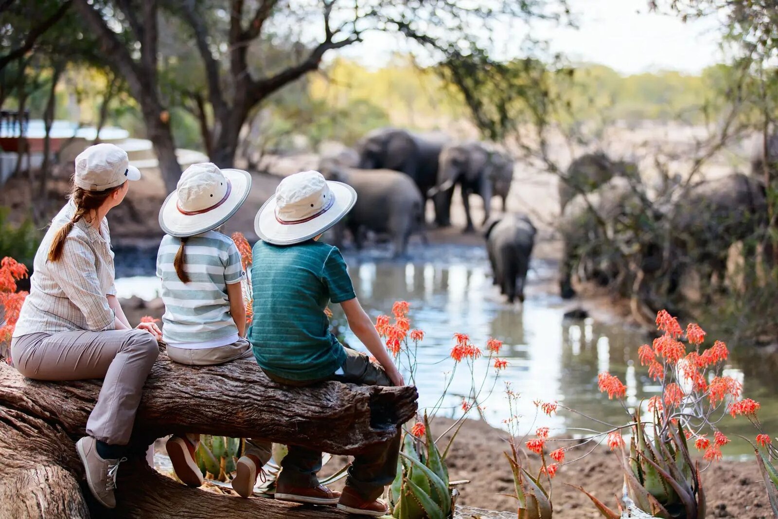 A family on a private game drive with a guide on a bespoke African safari